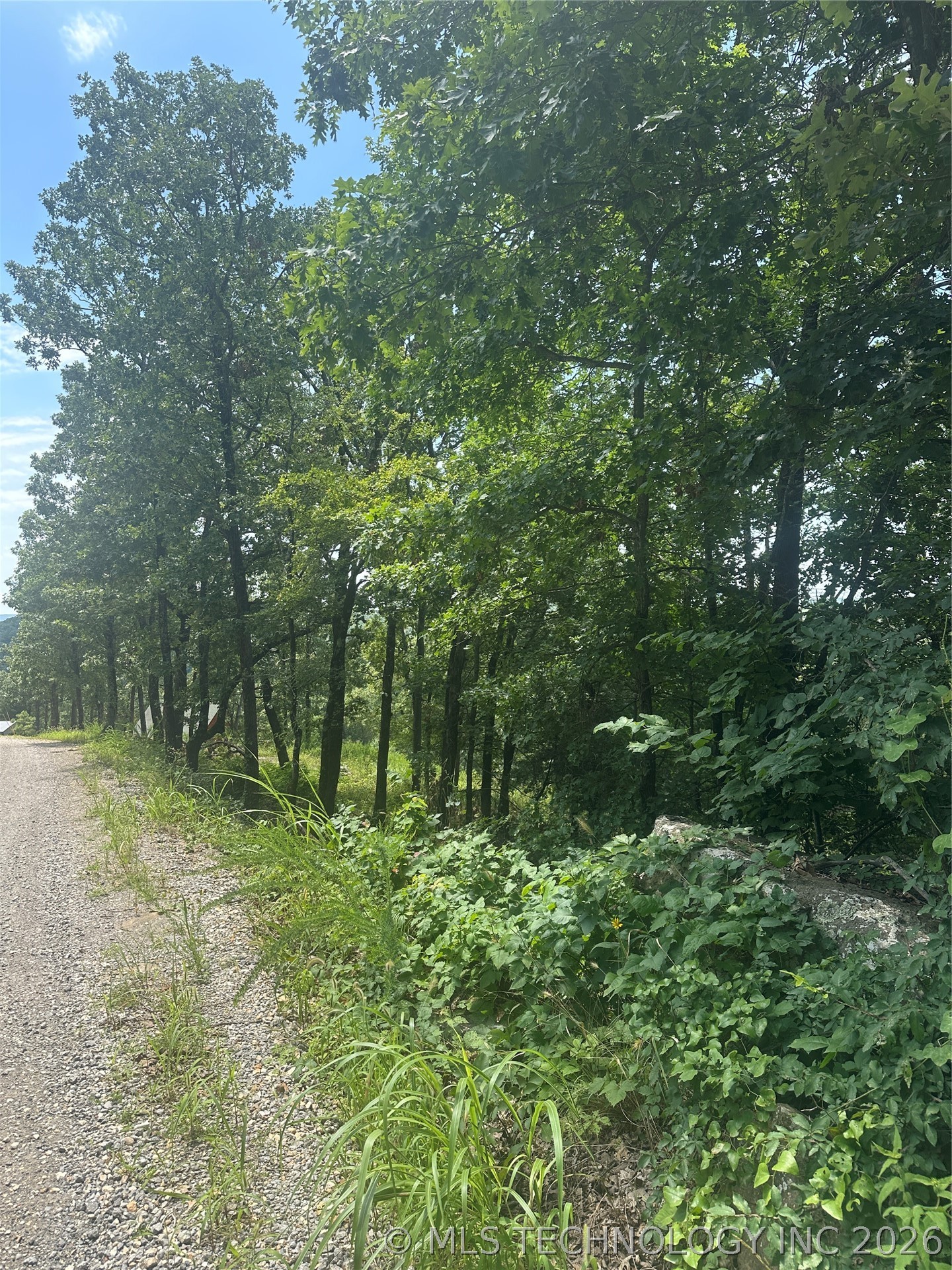 18121 W Running Springs Road Park Hill OK 74451