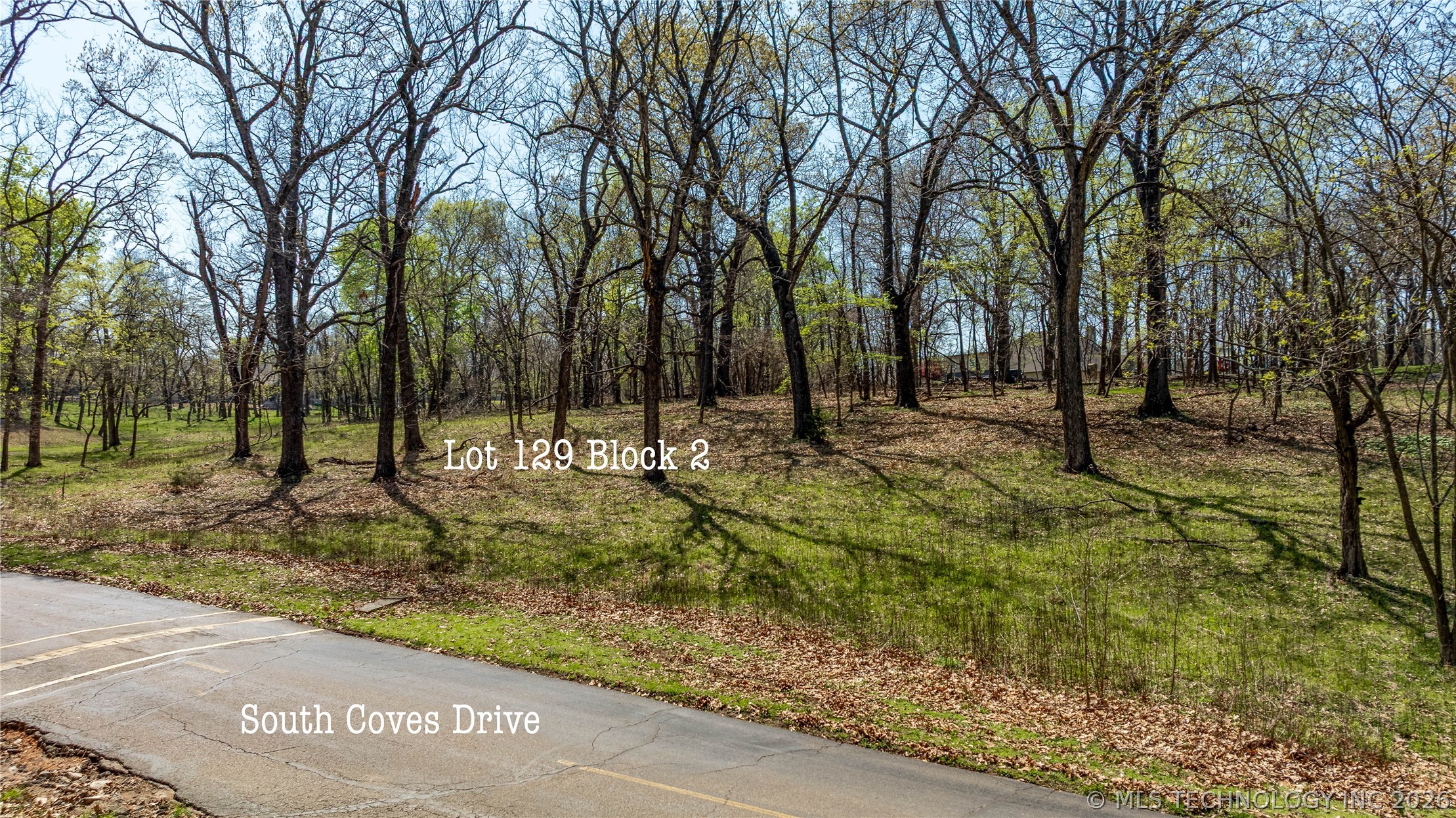 Blue Grouse Lane Afton OK 74331