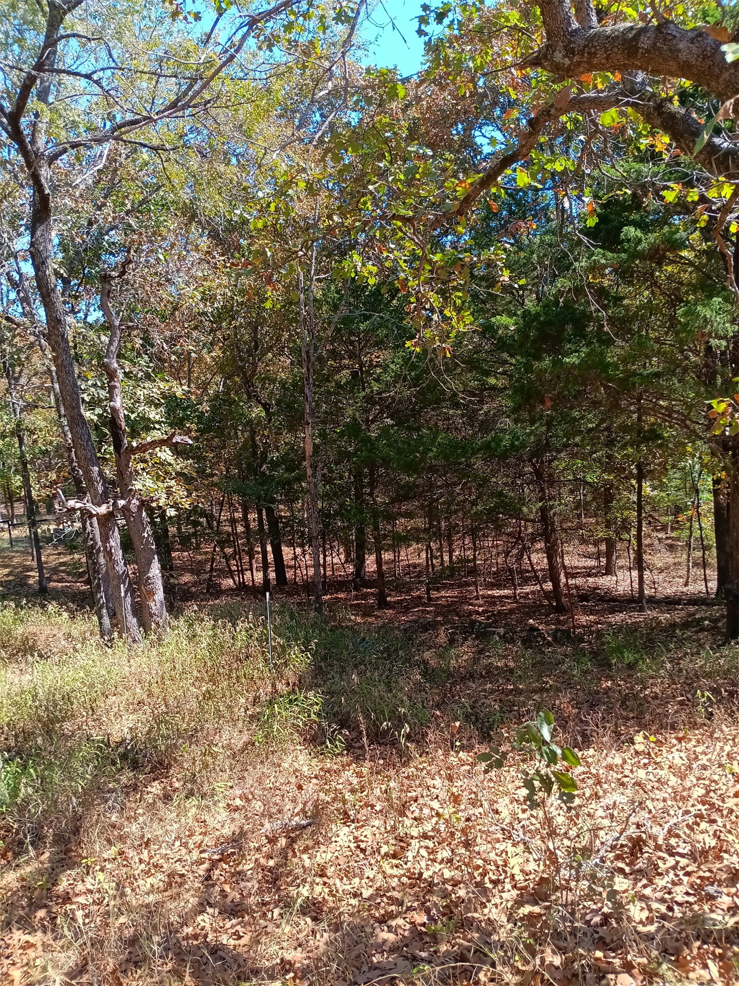 123 W Woodland Court Park Hill OK 74451