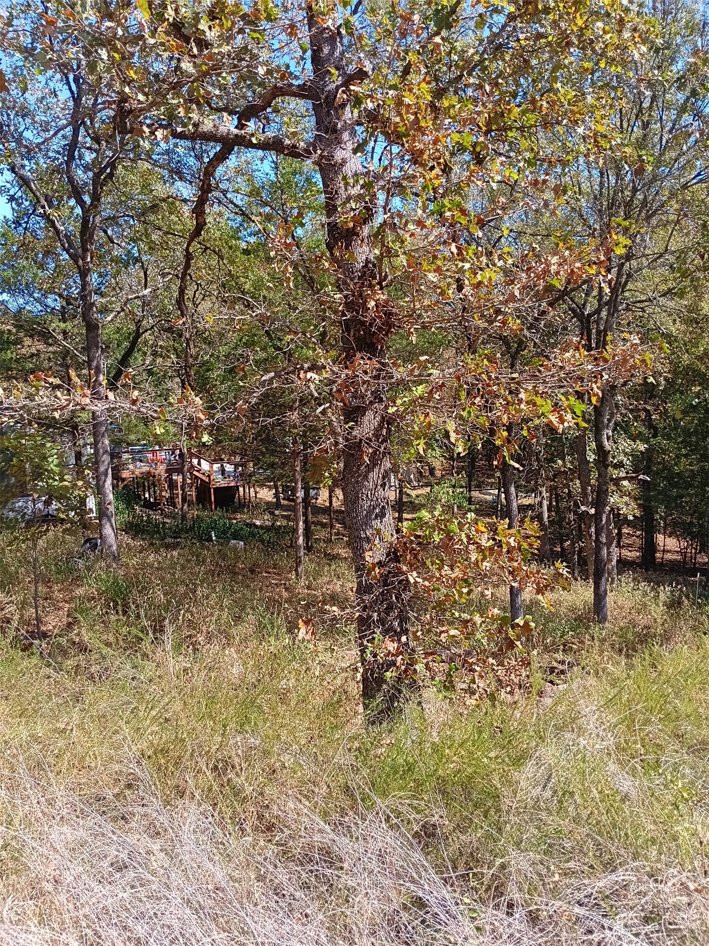123 W Woodland Court Park Hill OK 74451