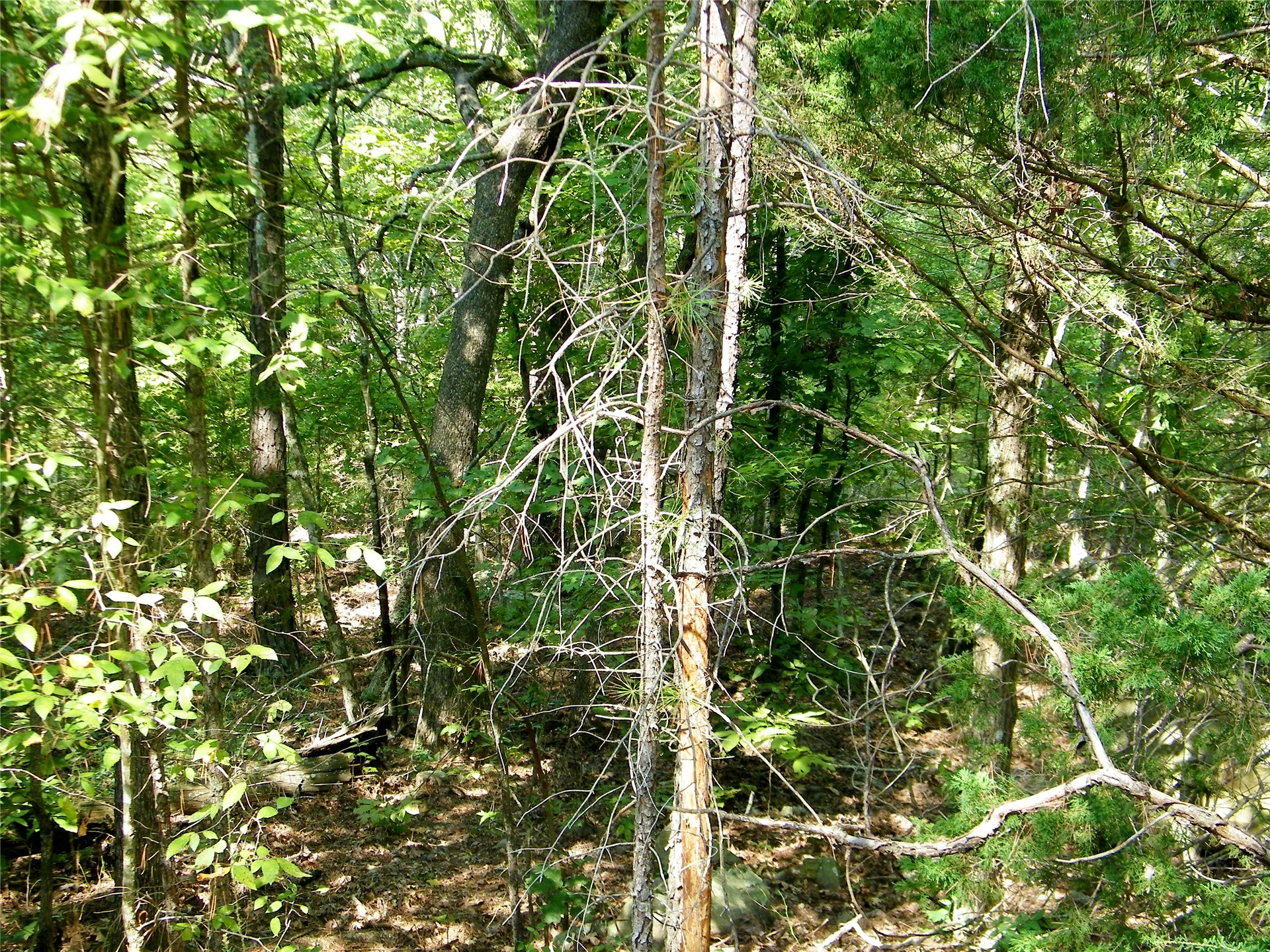 259 Highway Smithville OK 74957