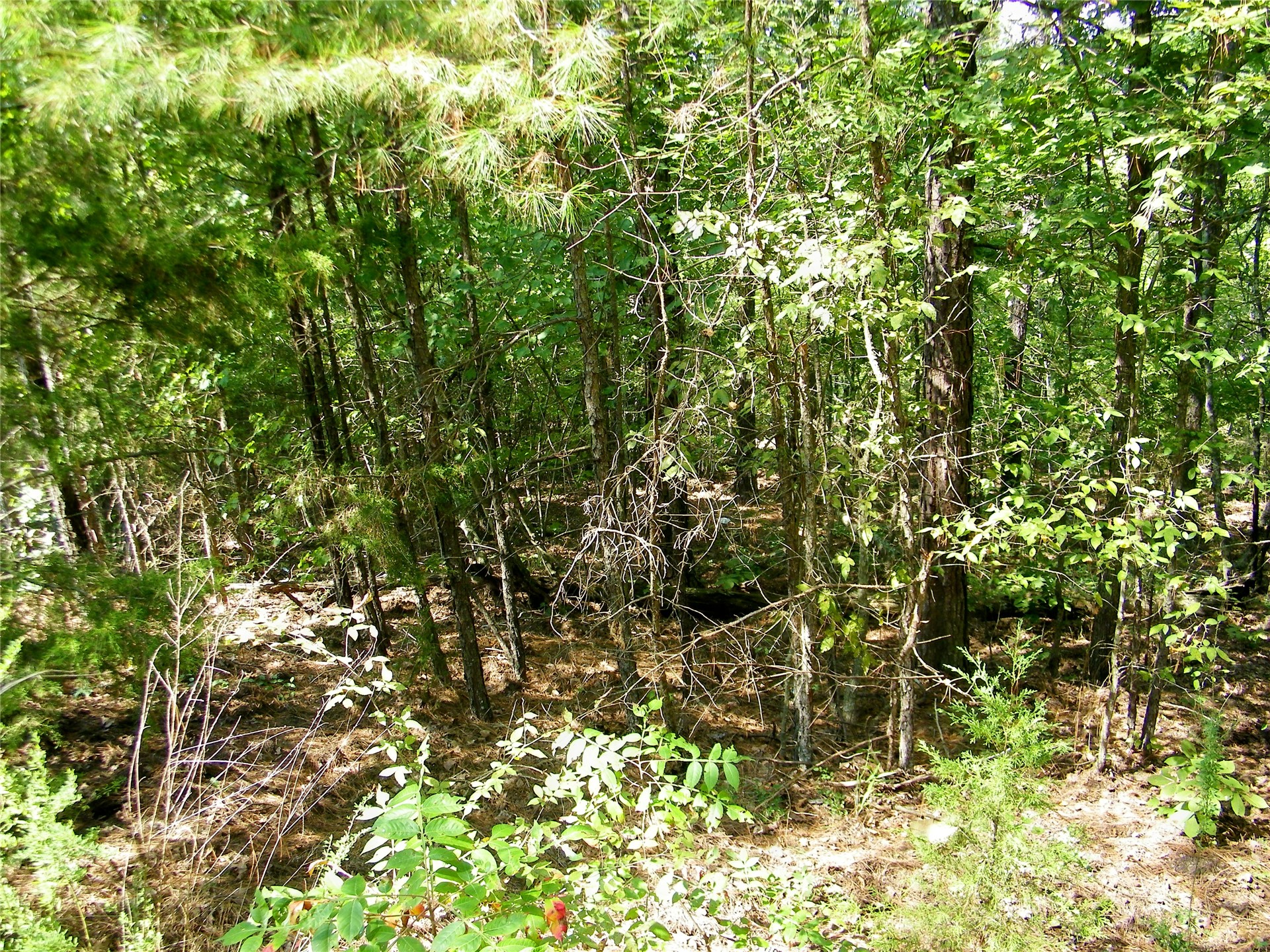 259 Highway Smithville OK 74957