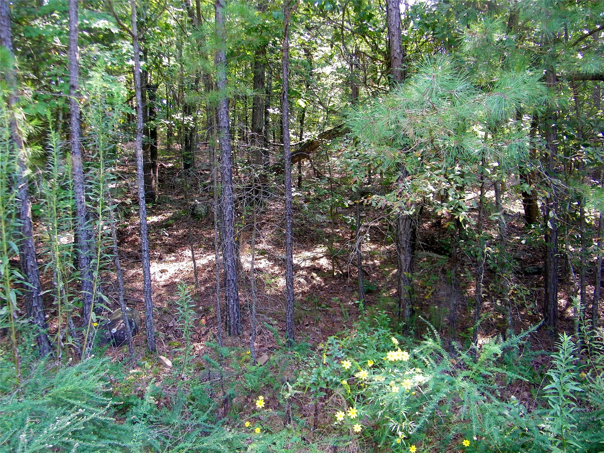259 Highway Smithville OK 74957
