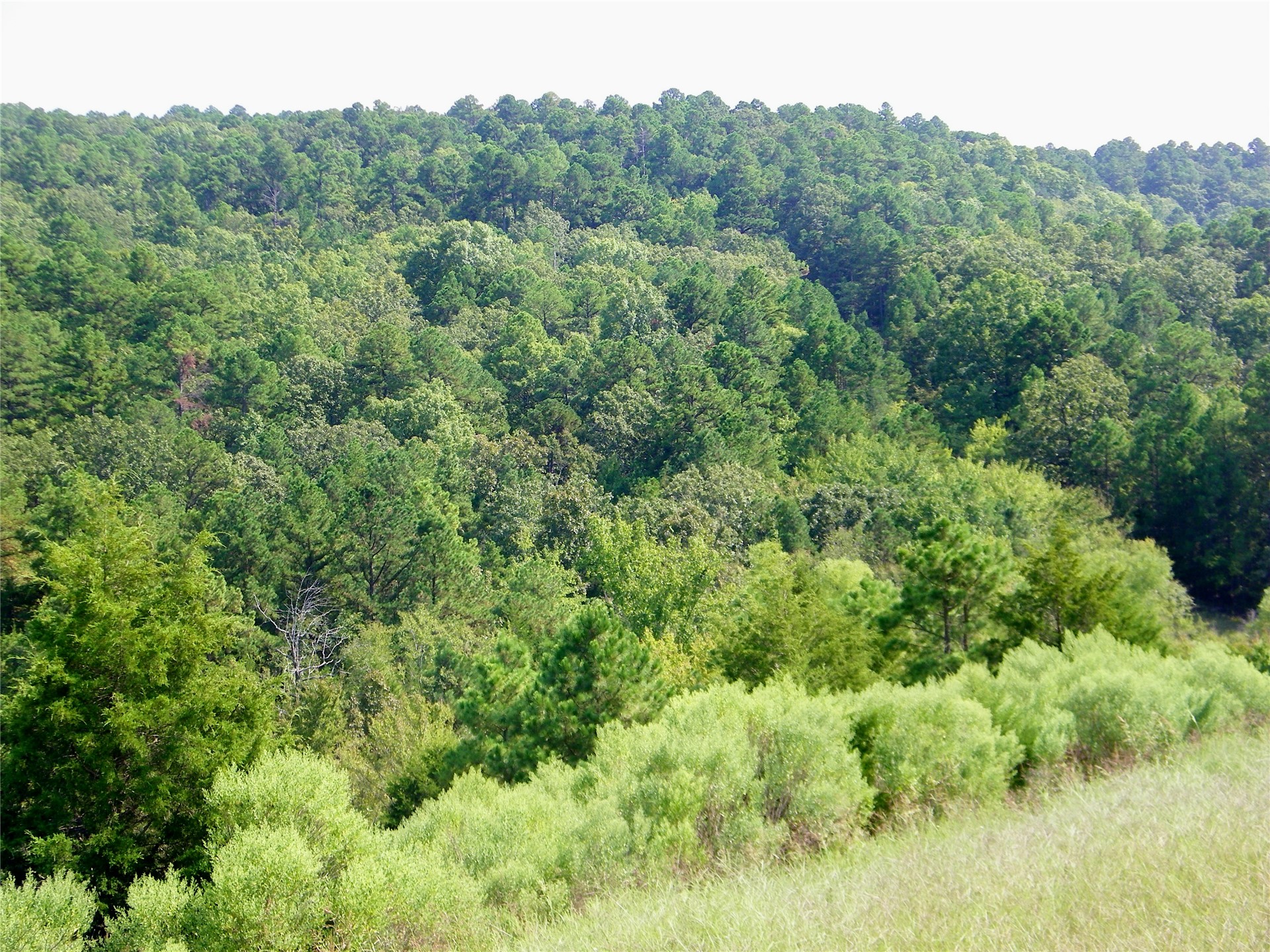 259 Highway Smithville OK 74957