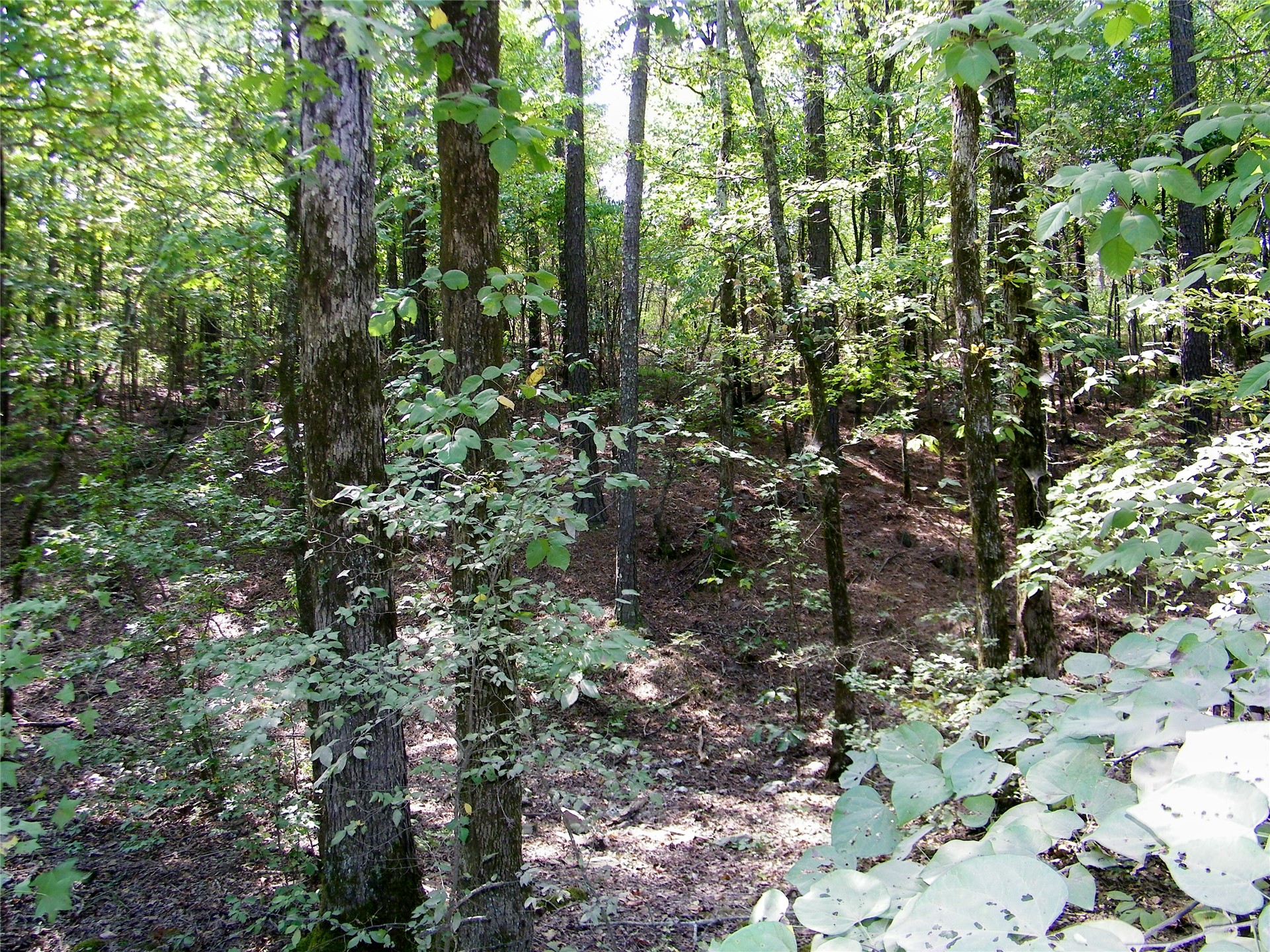 259 Highway Smithville OK 74957