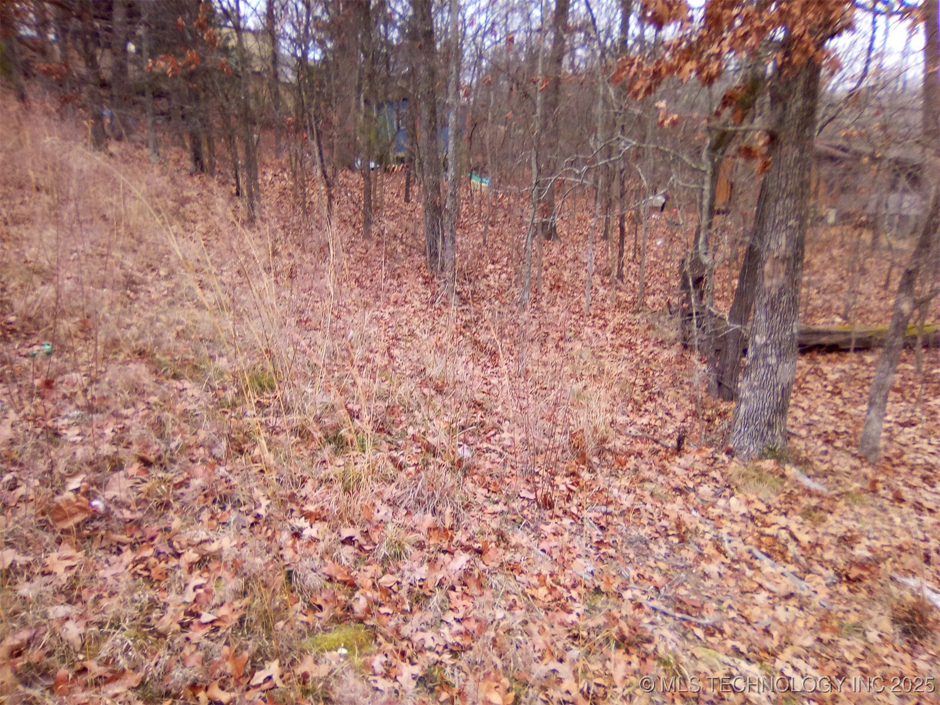 S Maple Drive Park Hill OK 74451