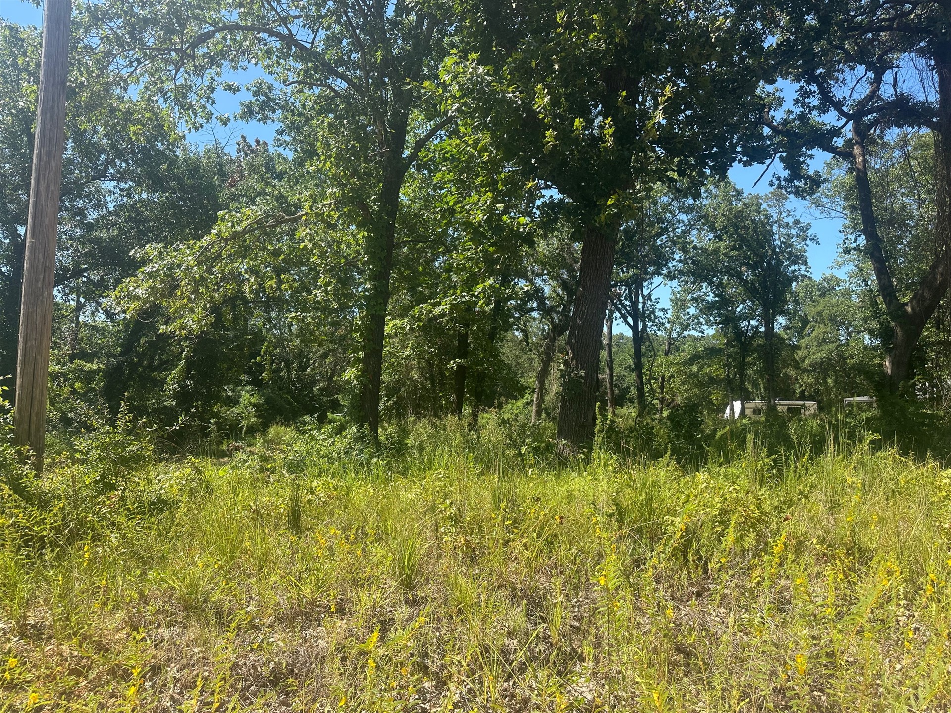 0 Driftwood Road Kingston OK 73439