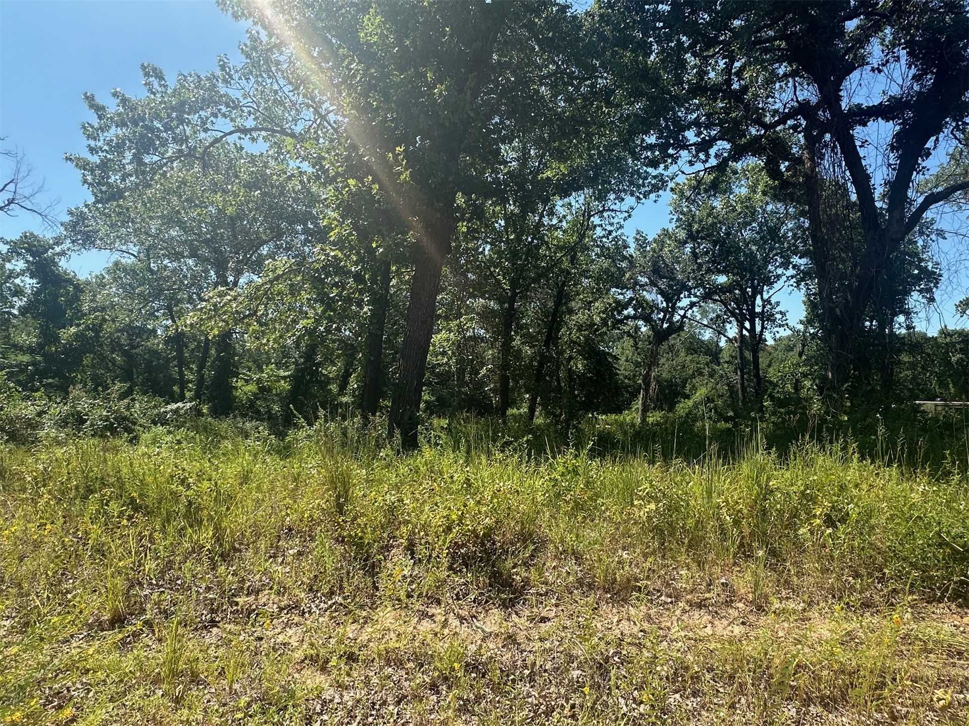0 Driftwood Road Kingston OK 73439