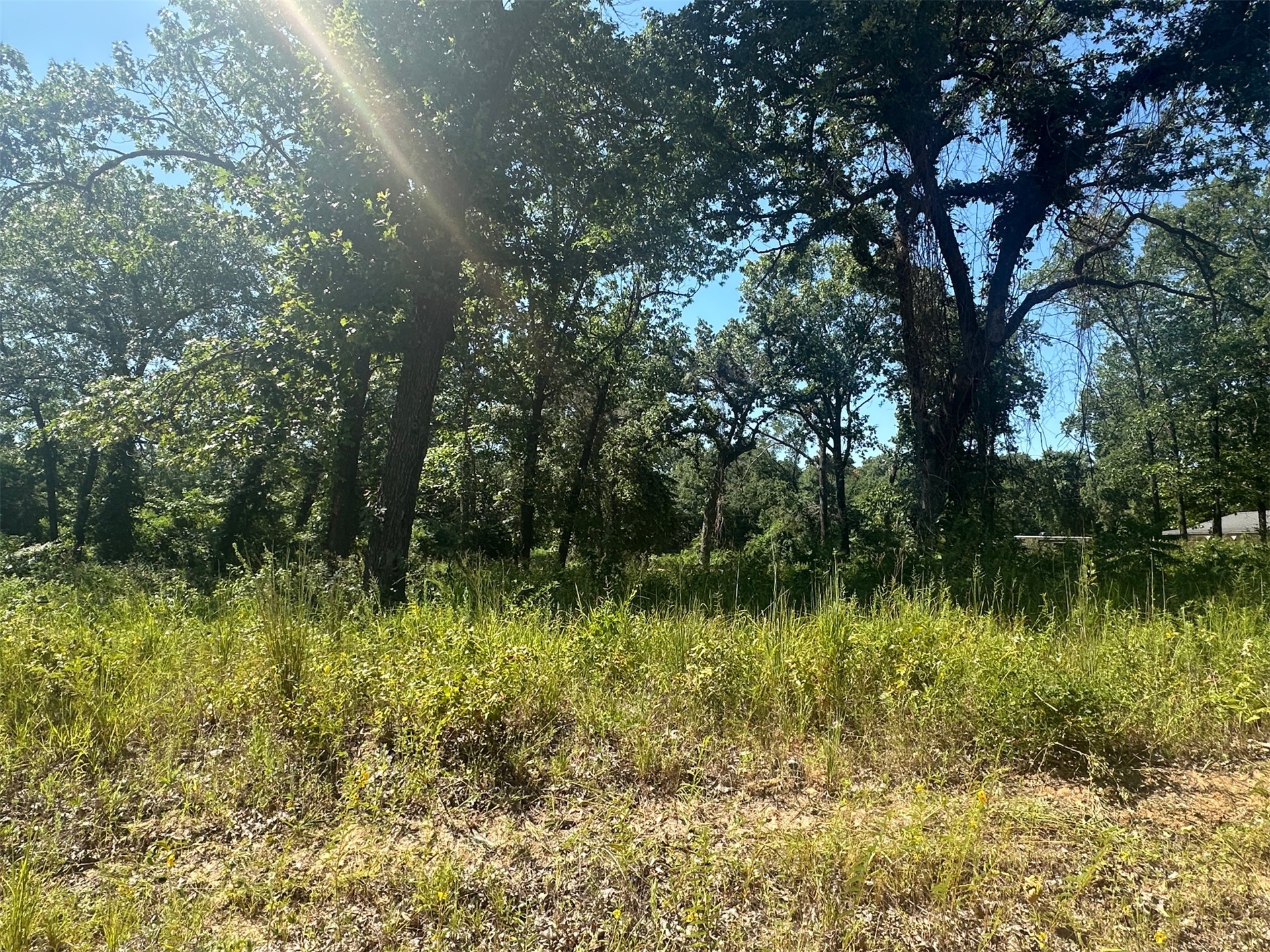 0 Driftwood Road Kingston OK 73439