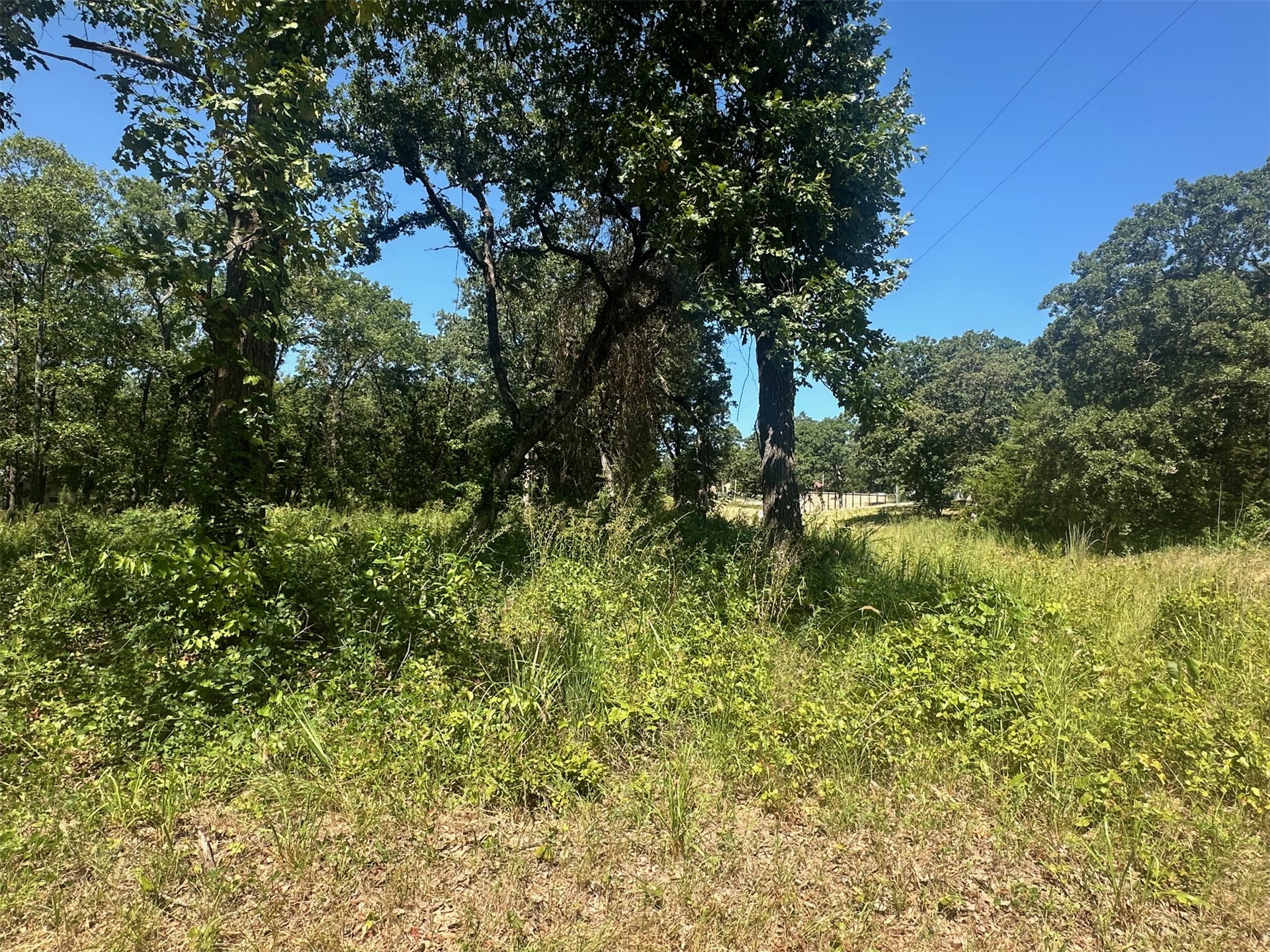 0 Driftwood Road Kingston OK 73439