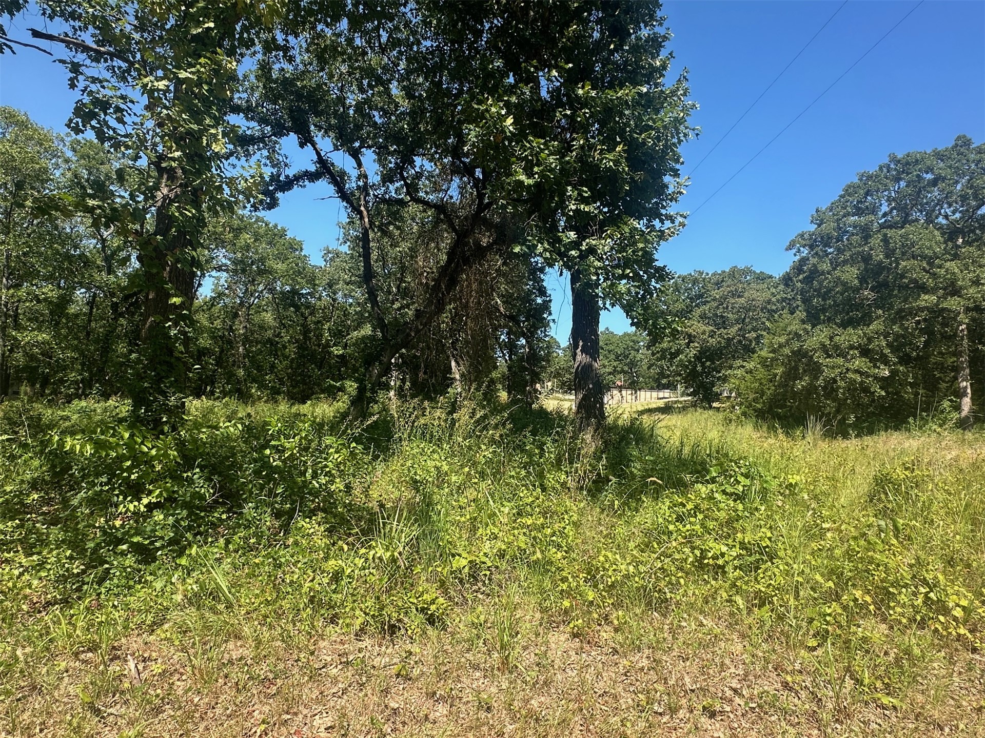 0 Driftwood Road Kingston OK 73439