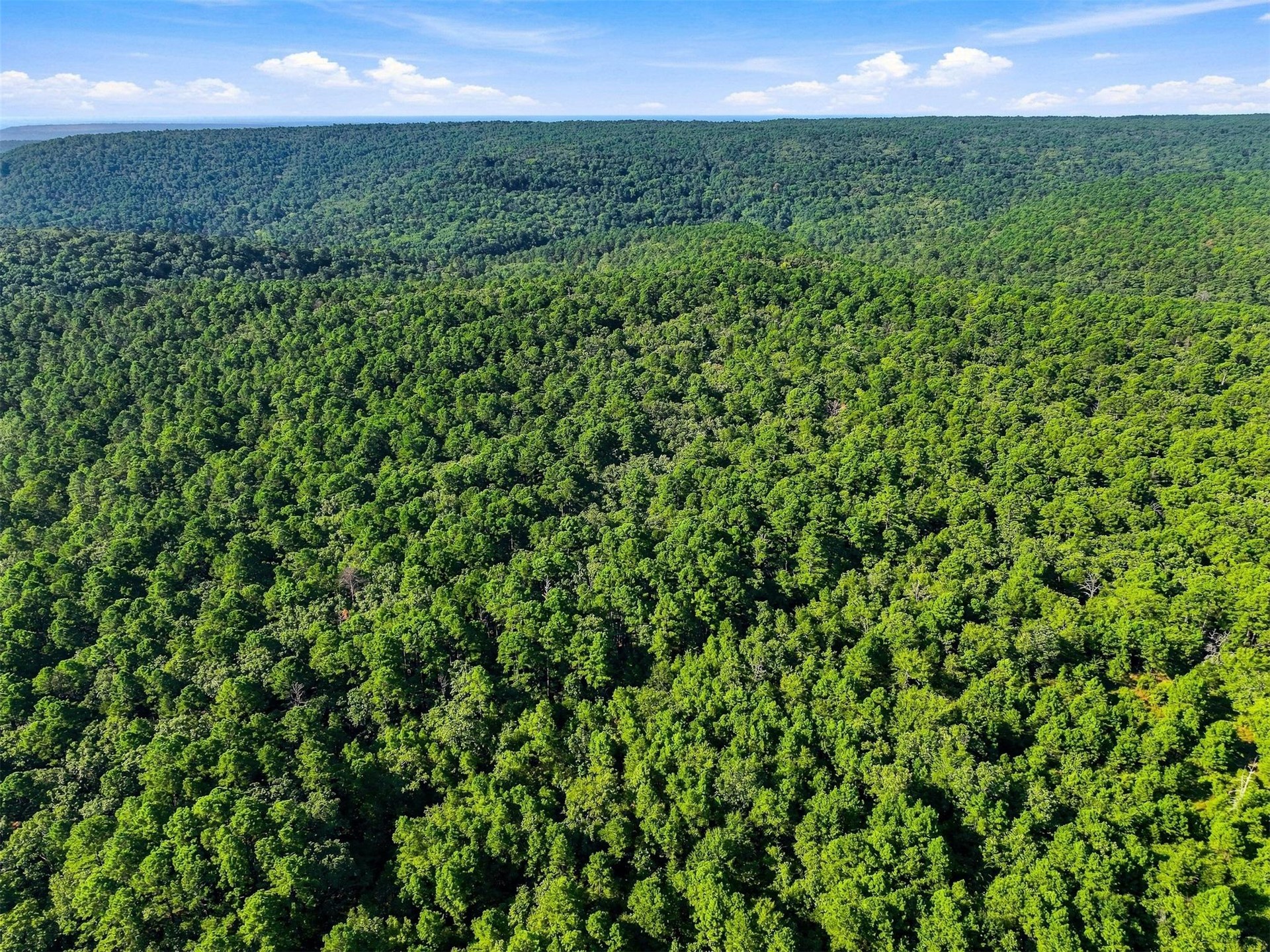 45 Buck Creek Road Moyers OK 74557