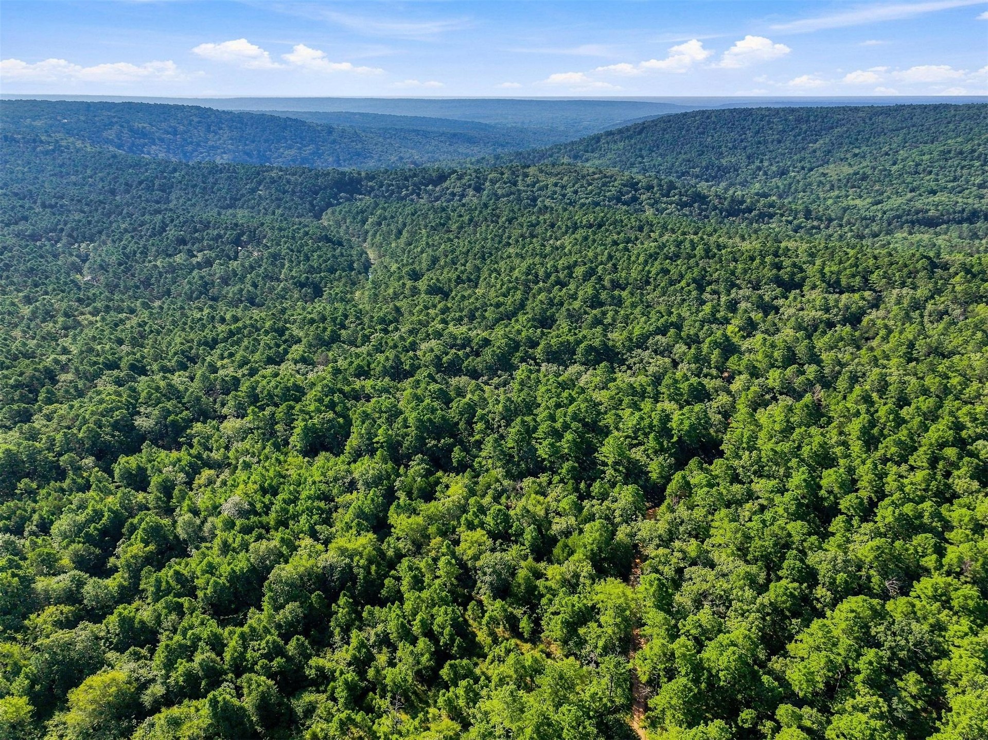 45 Buck Creek Road Moyers OK 74557