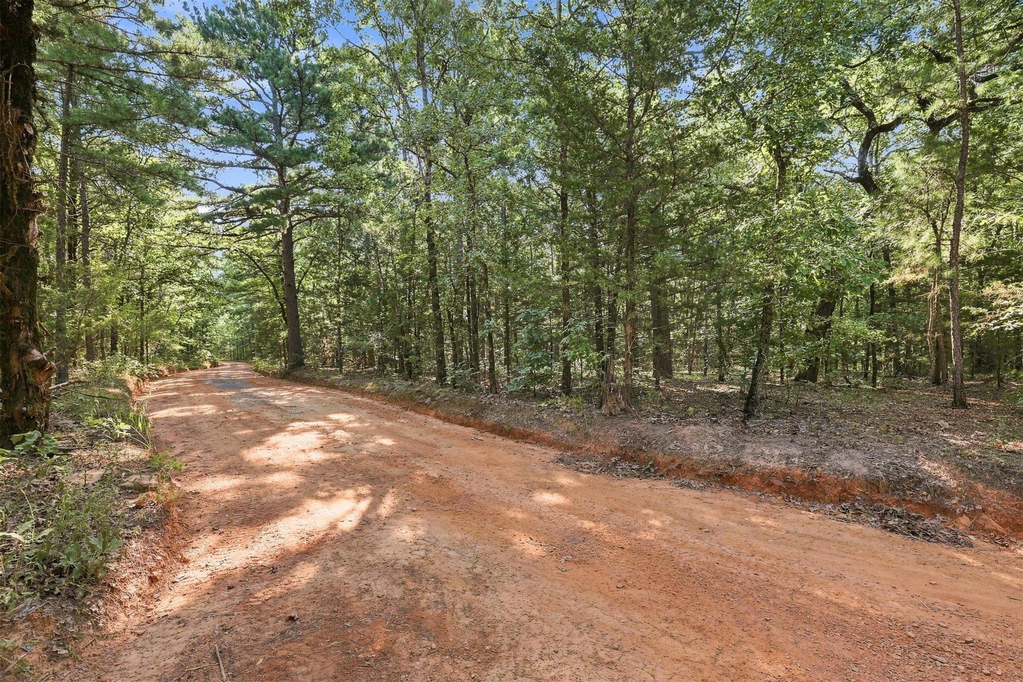 45 Buck Creek Road Moyers OK 74557