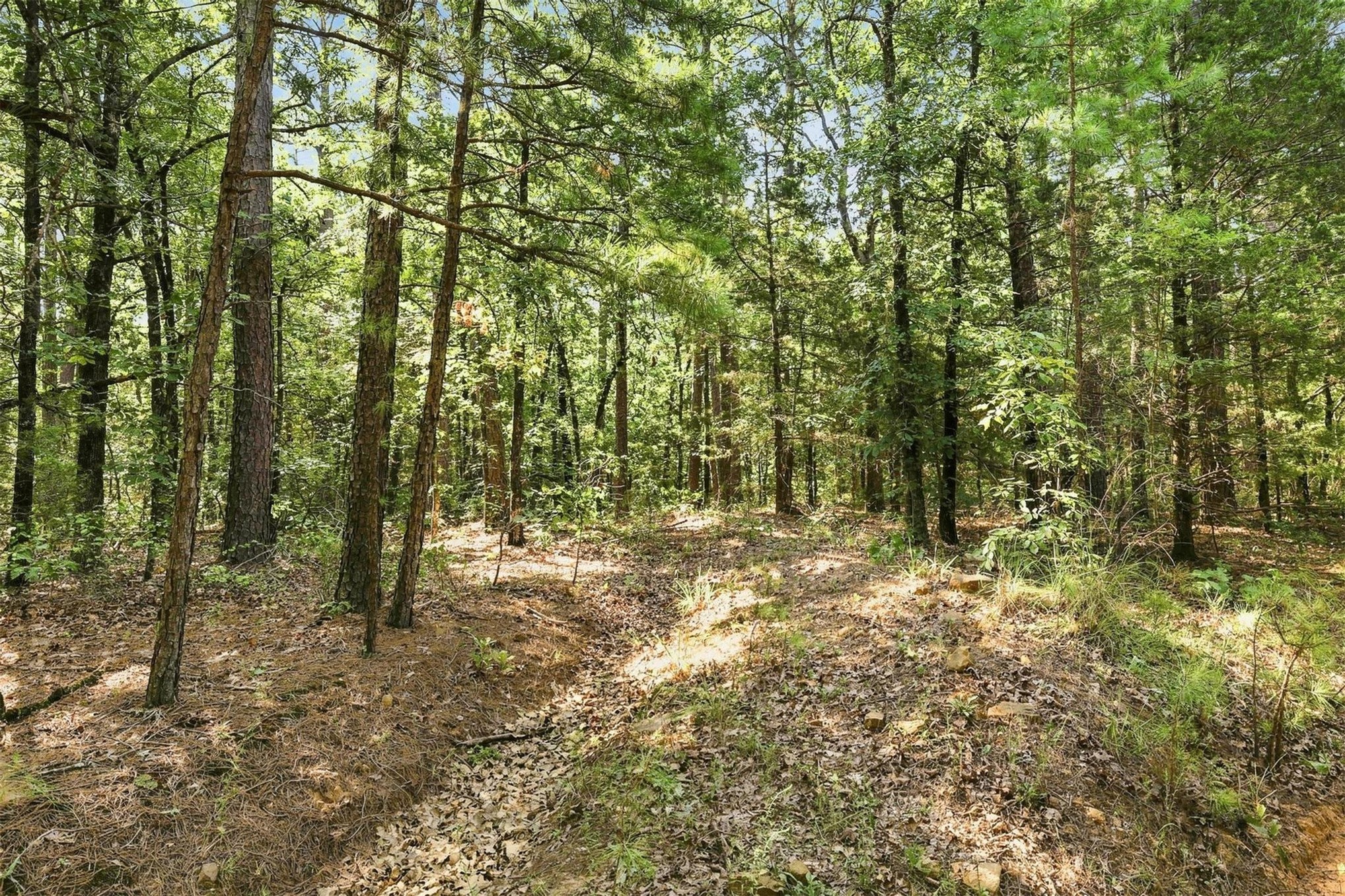 45 Buck Creek Road Moyers OK 74557