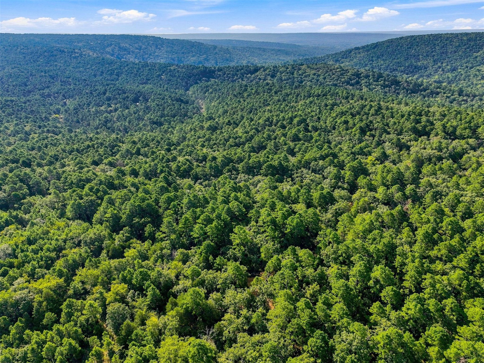 45 Buck Creek Road Moyers OK 74557