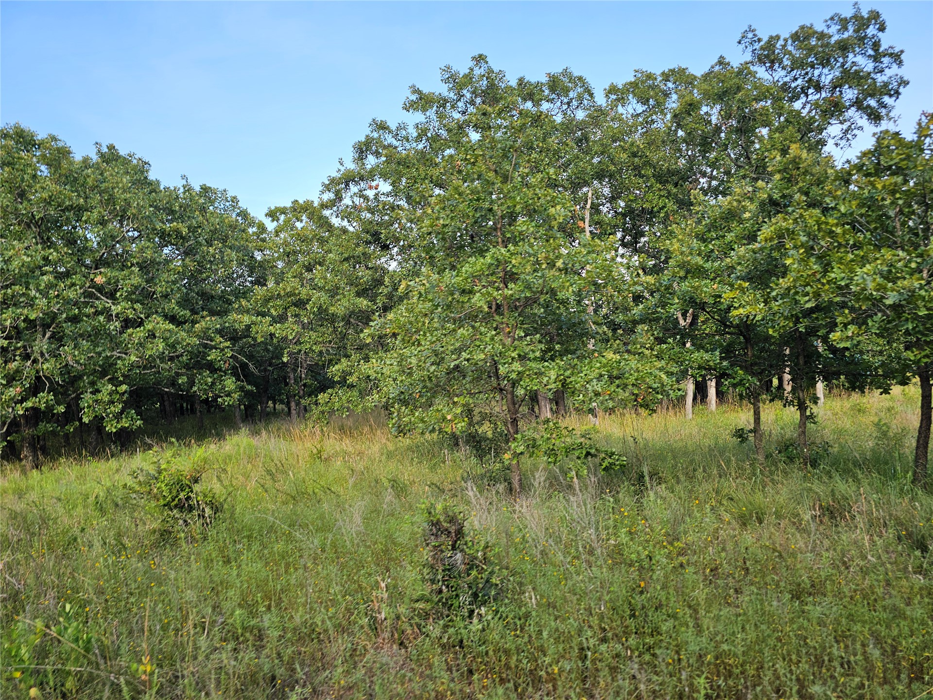 0000 S 465th West Avenue Bristow OK 74010