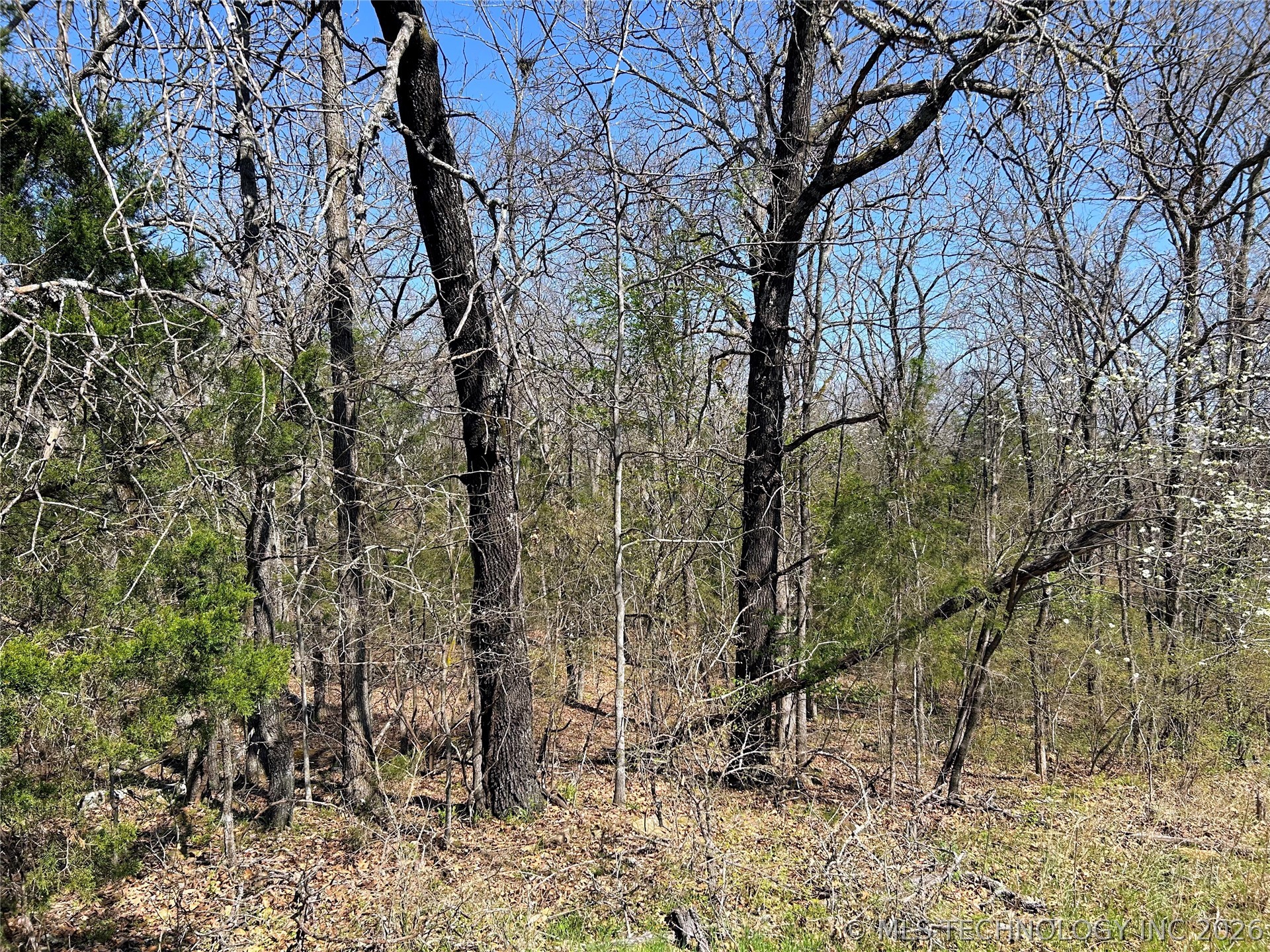 S Deer Run Road Park Hill OK 74451