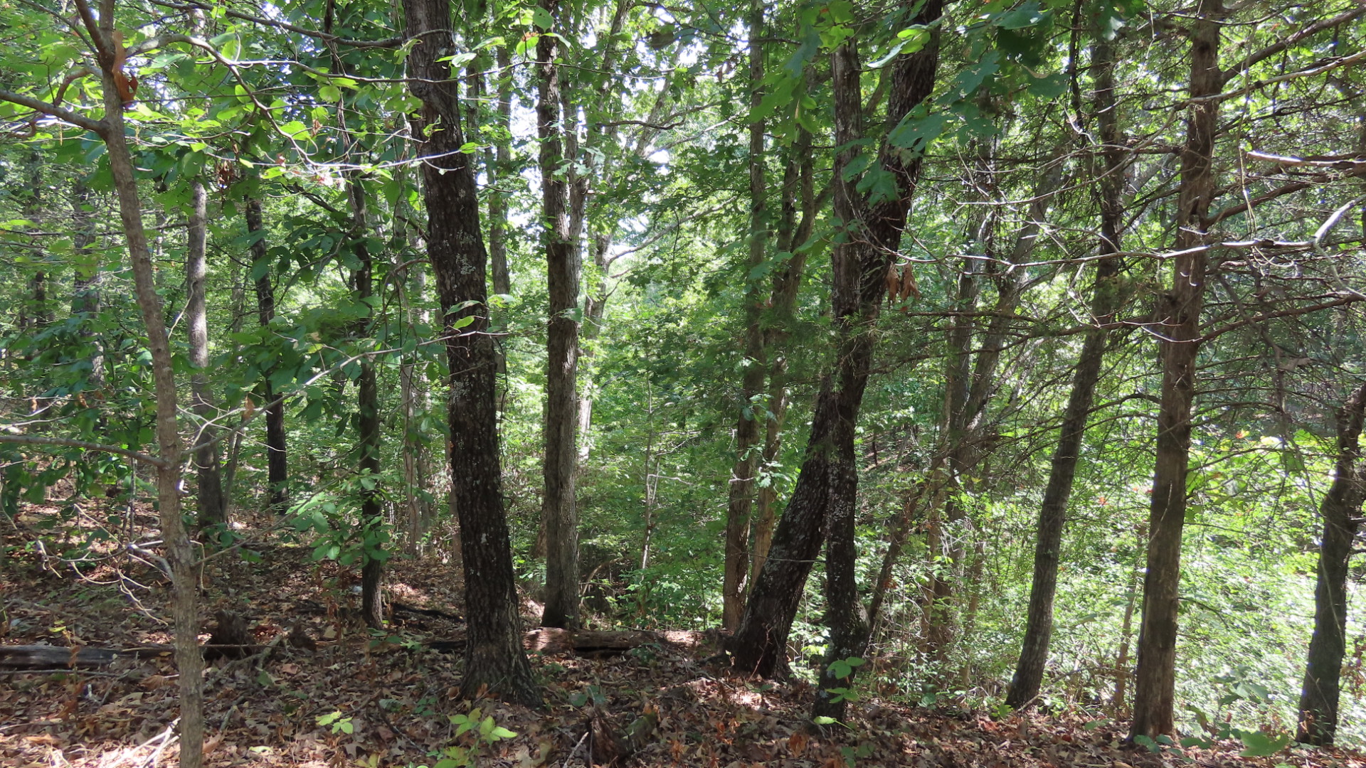 Old Toll Gate Road Oaks OK 74359