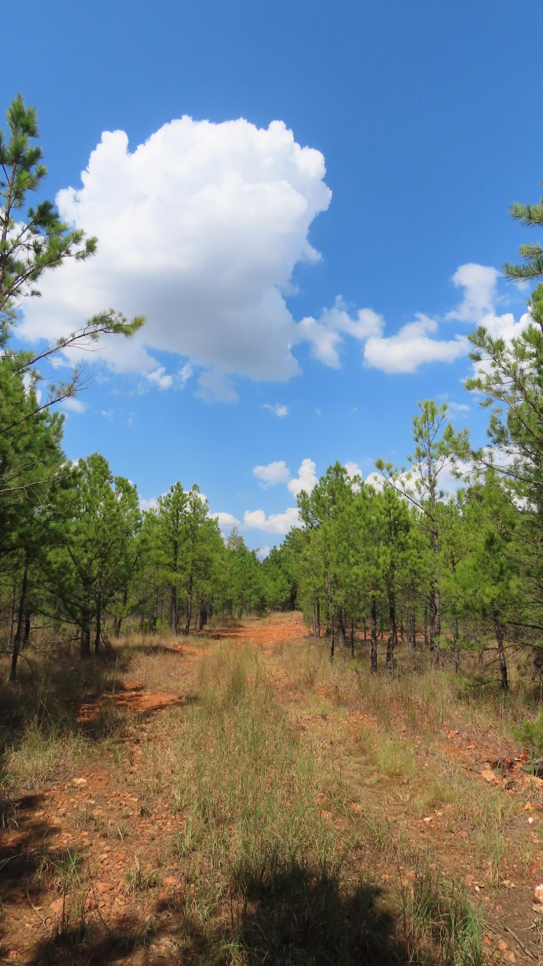 Old Toll Gate Road Oaks OK 74359