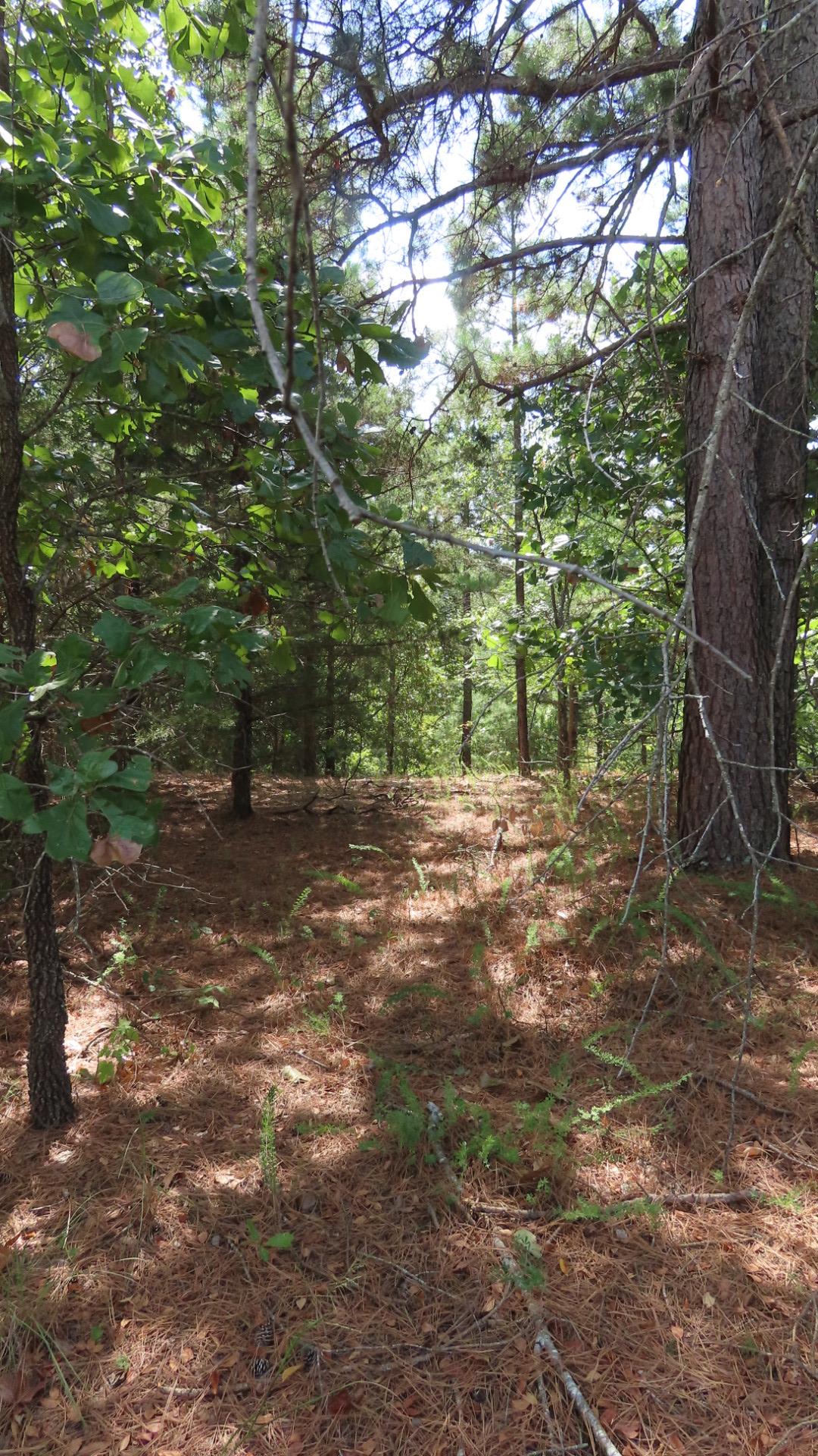 Old Toll Gate Road Oaks OK 74359