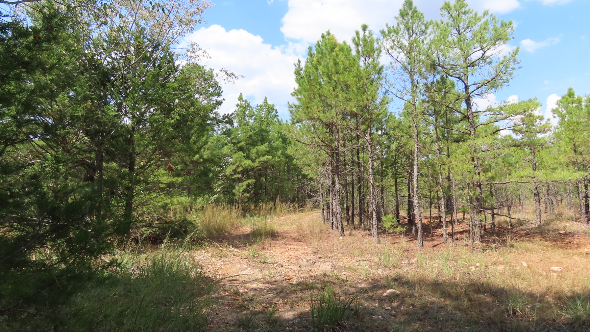 Old Toll Gate Road Oaks OK 74359