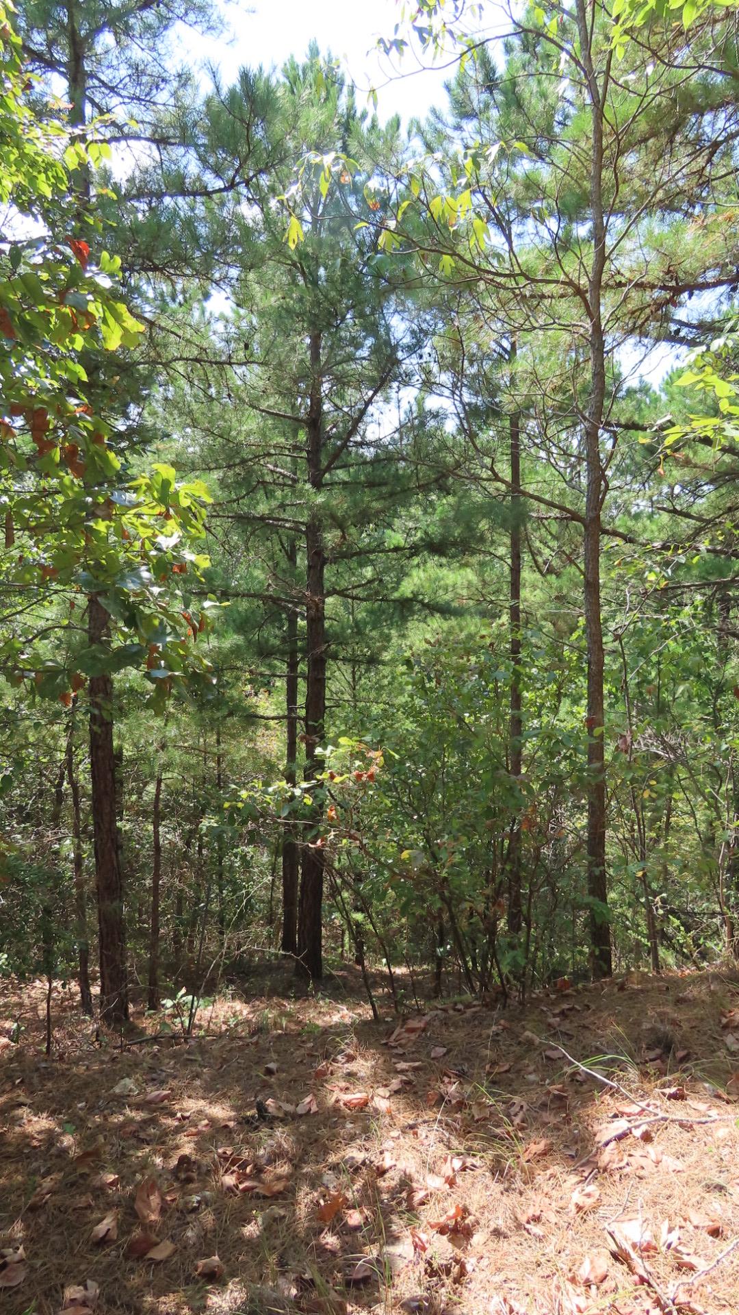 Old Toll Gate Road Oaks OK 74359