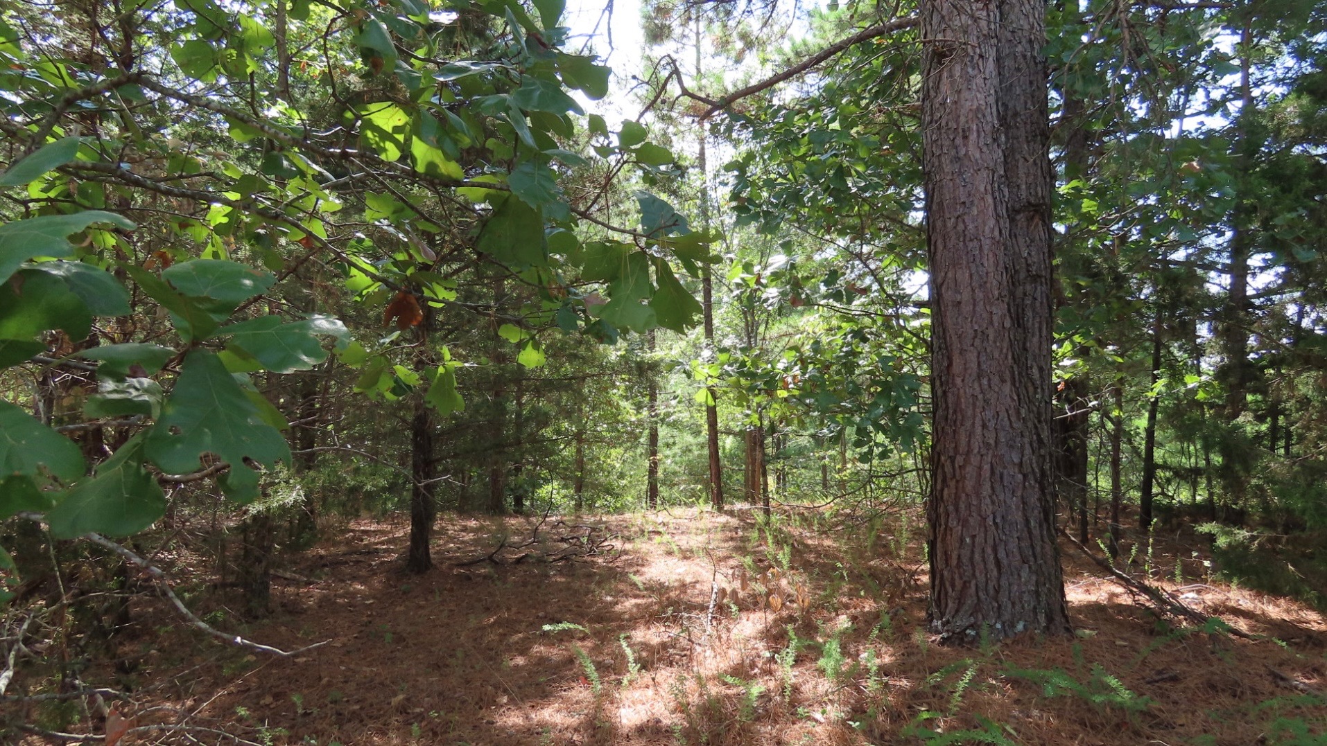 Old Toll Gate Road Oaks OK 74359