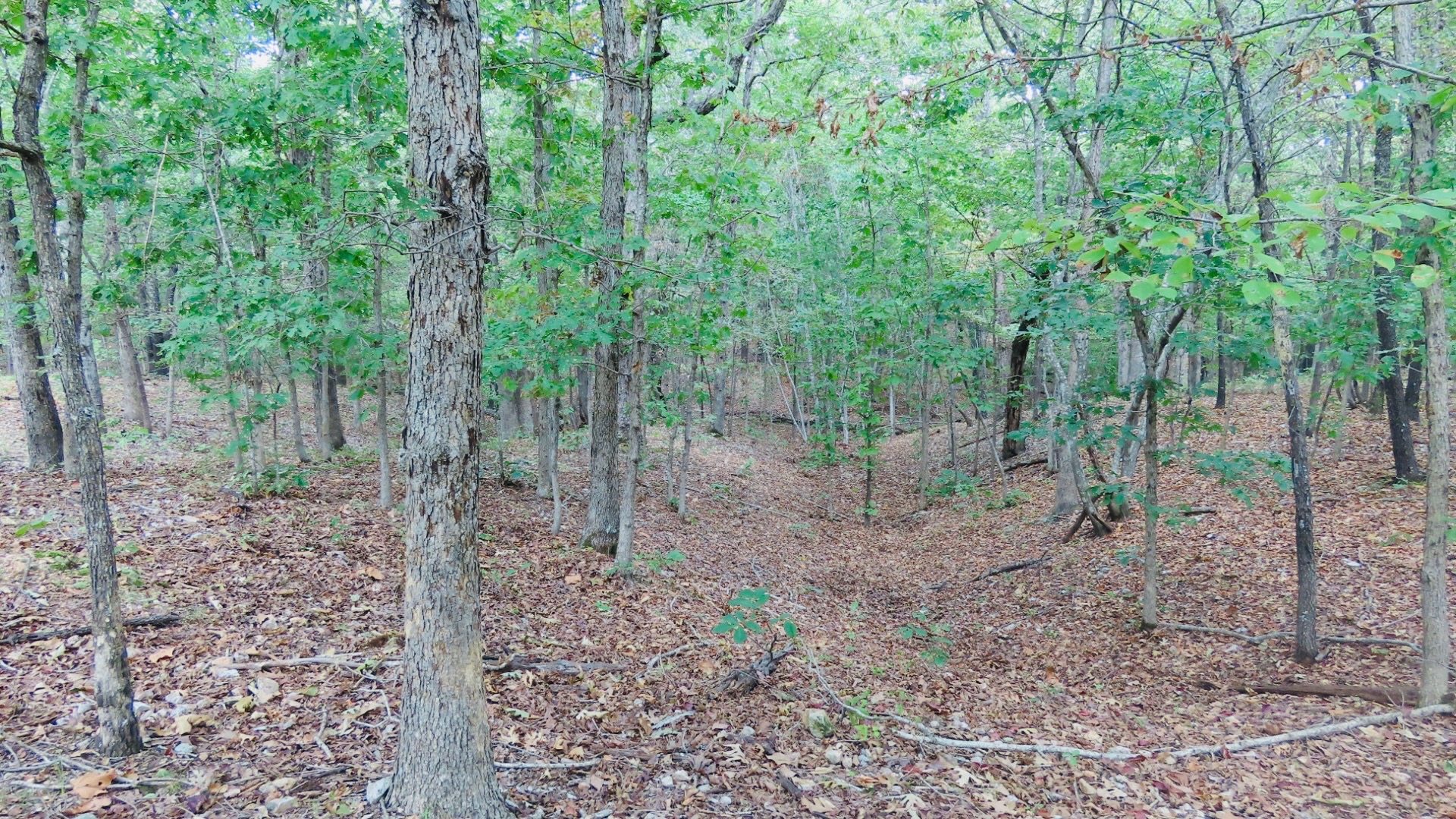 Old Toll Gate Road Oaks OK 74359