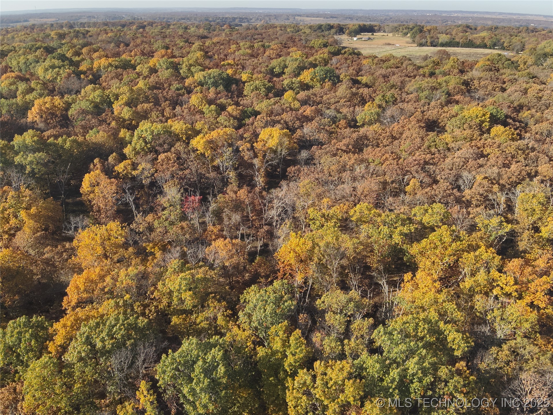 4290 Road Chelsea OK 74016