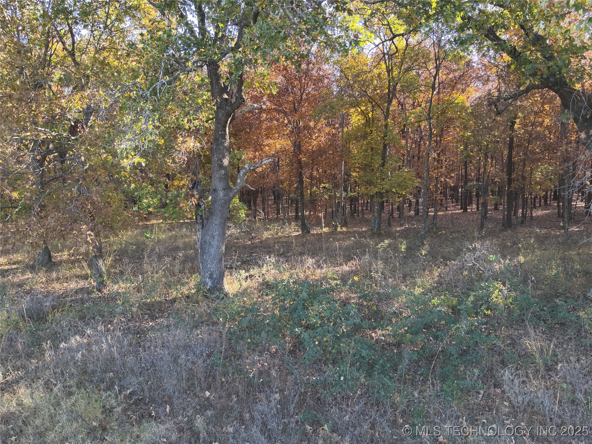 4290 Road Chelsea OK 74016
