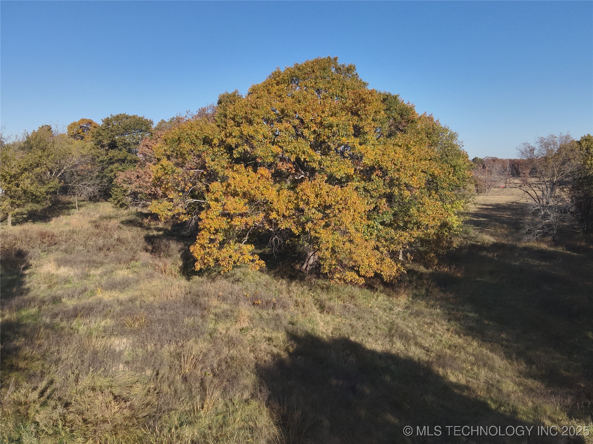 4290 Road Chelsea OK 74016