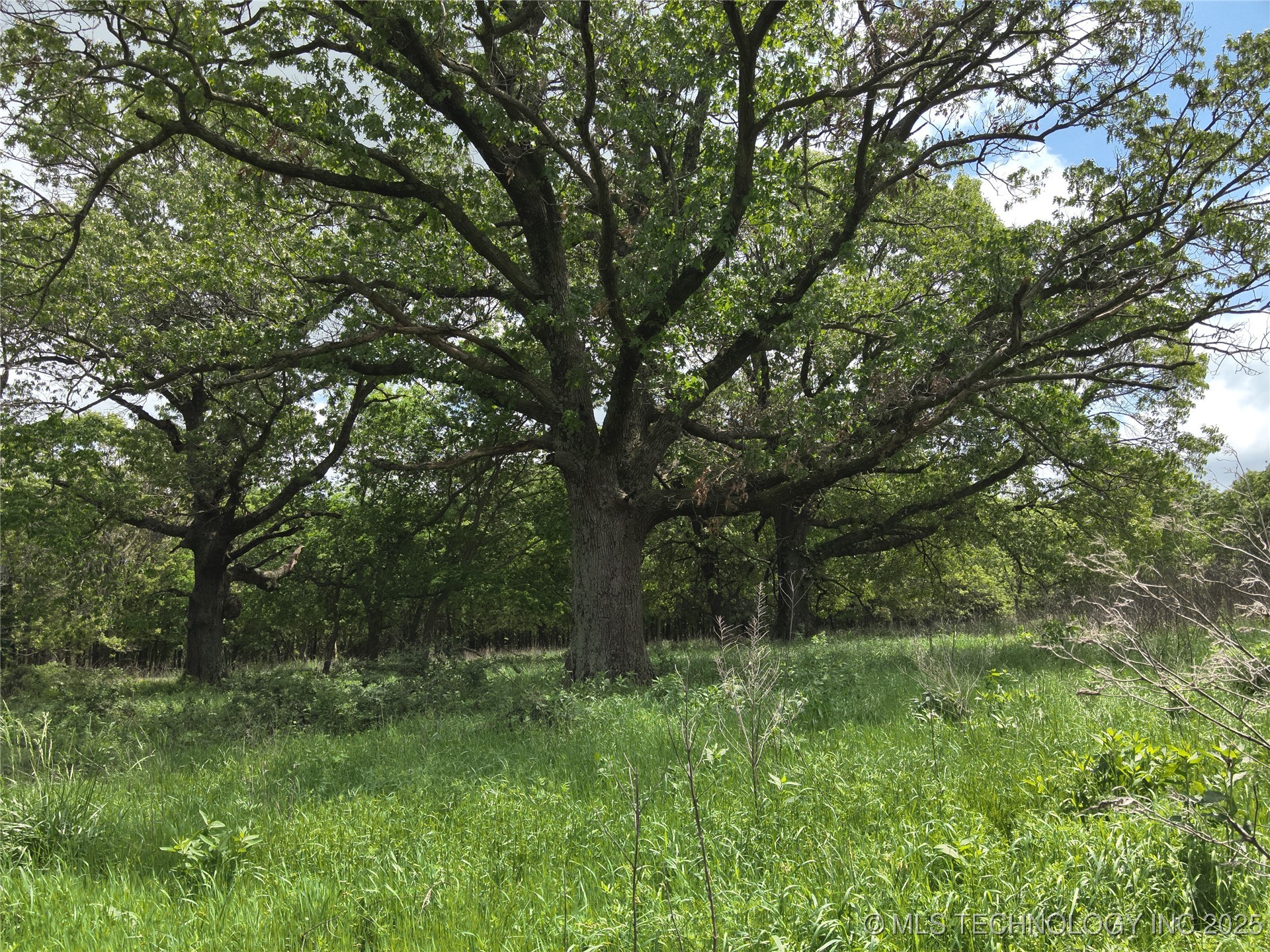 4290 Road Chelsea OK 74016