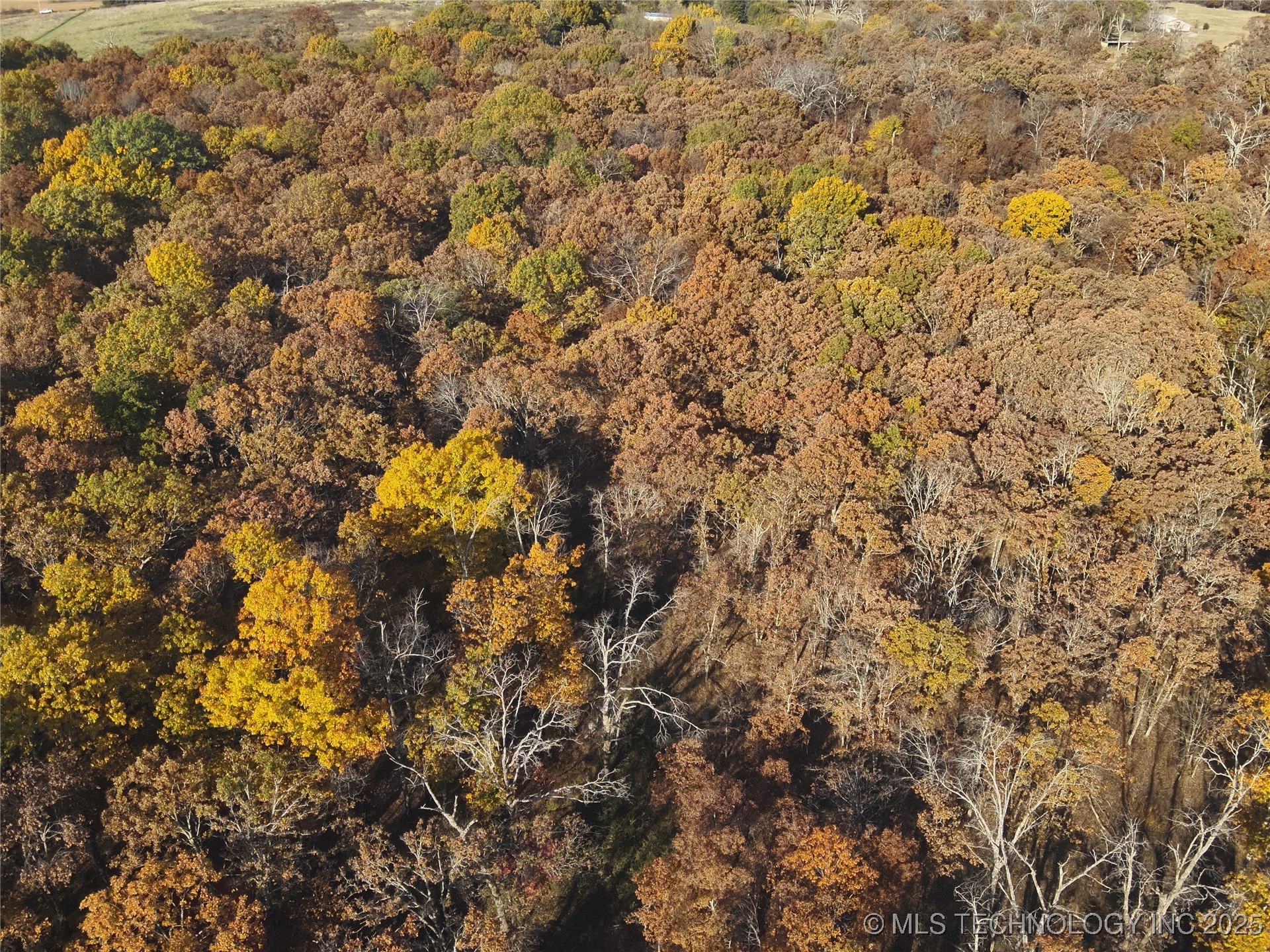 4290 Road Chelsea OK 74016