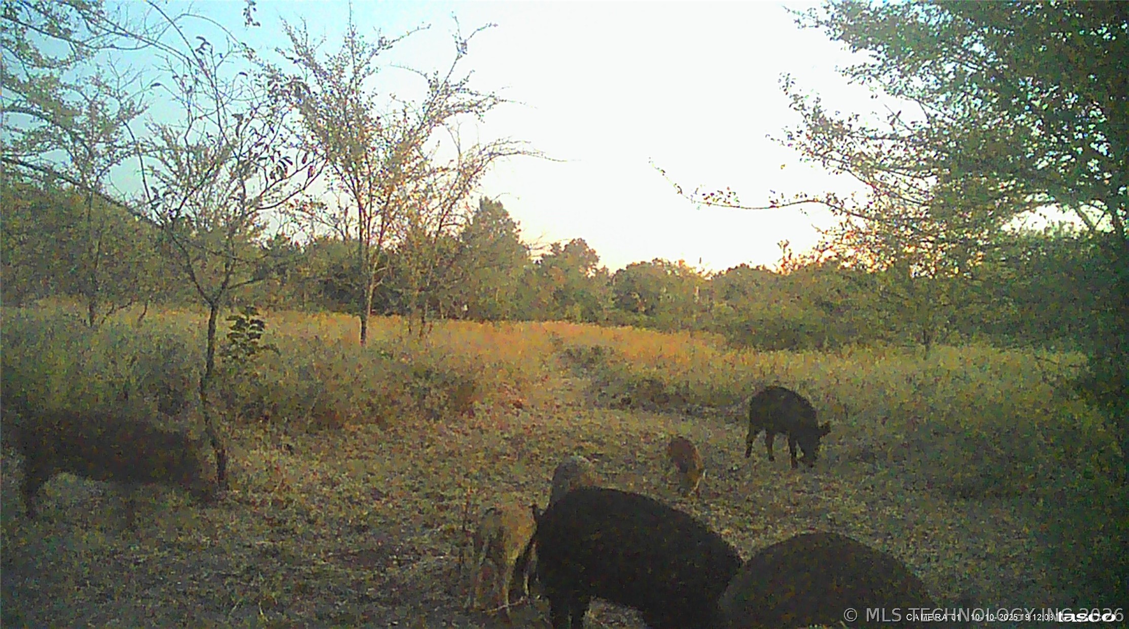 113327 S 4135 Road Eufaula OK 74432