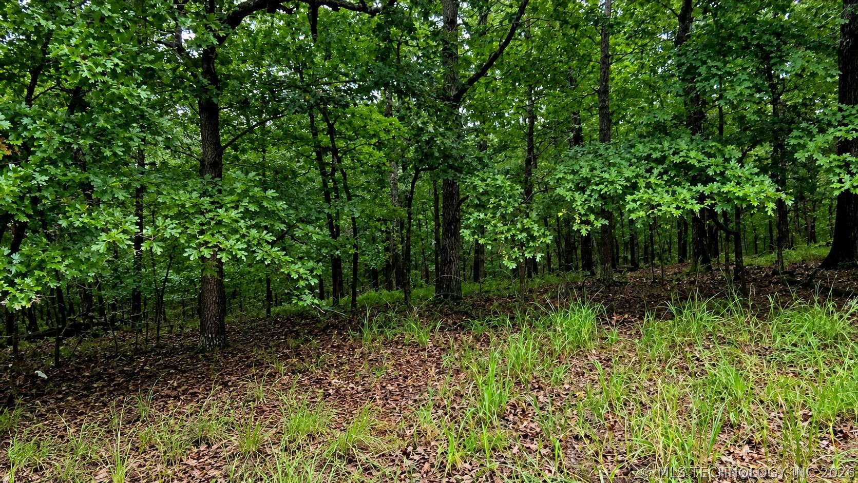 00 Deer Path Road Kansas OK 74347