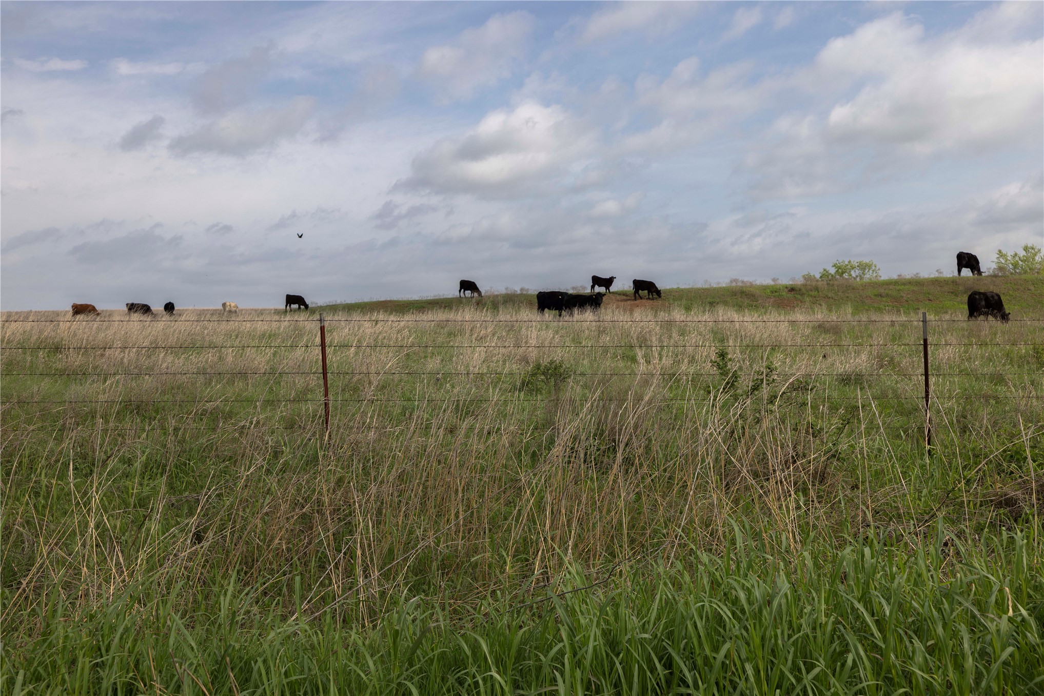 0041 E 4500 Road Pawnee OK 73061