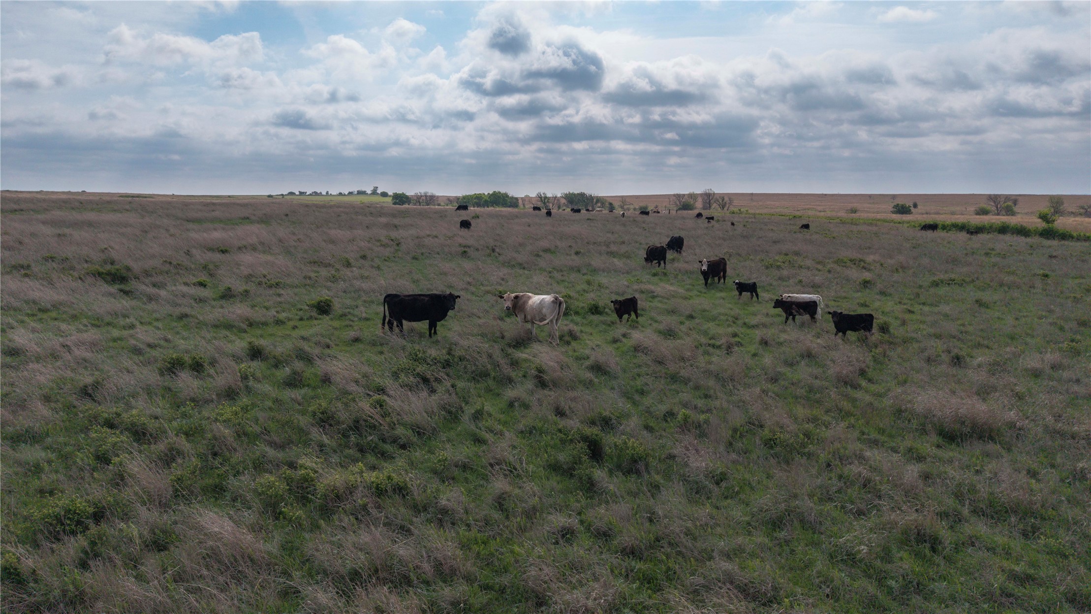 0041 E 4500 Road Pawnee OK 73061