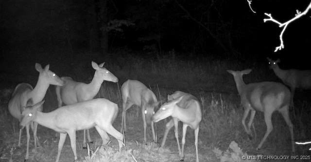 County Road 2561 Pawhuska OK 74056