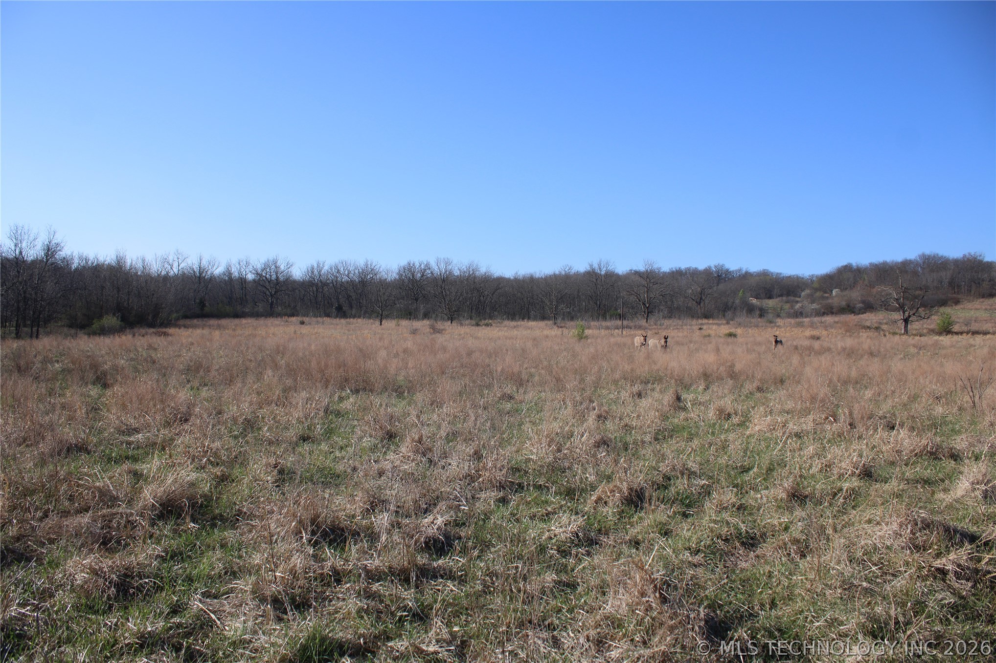 0000 S 4200 Road Chelsea OK 74016