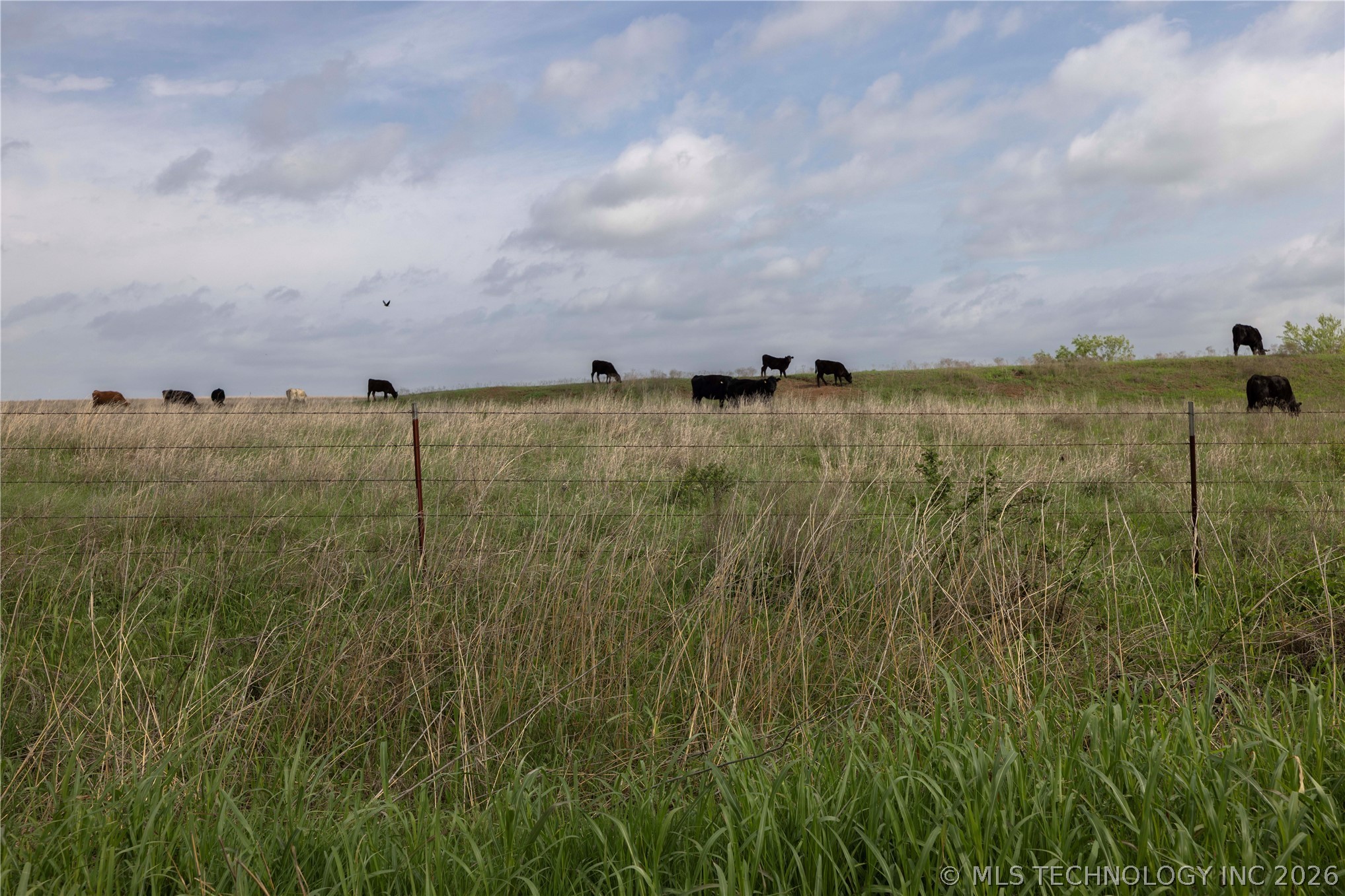 0003 E 4500 Road Pawnee OK 73061