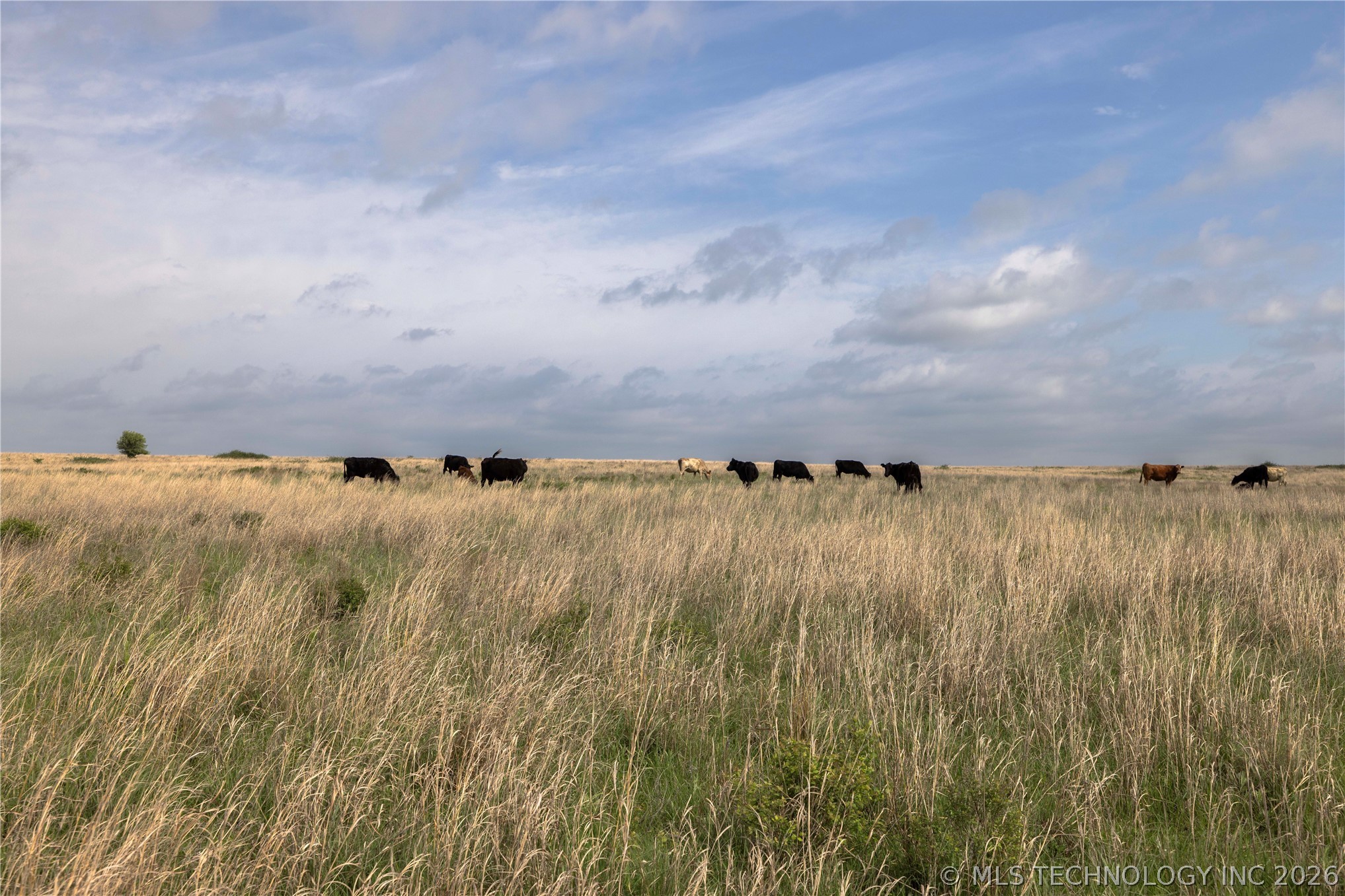 0003 E 4500 Road Pawnee OK 73061