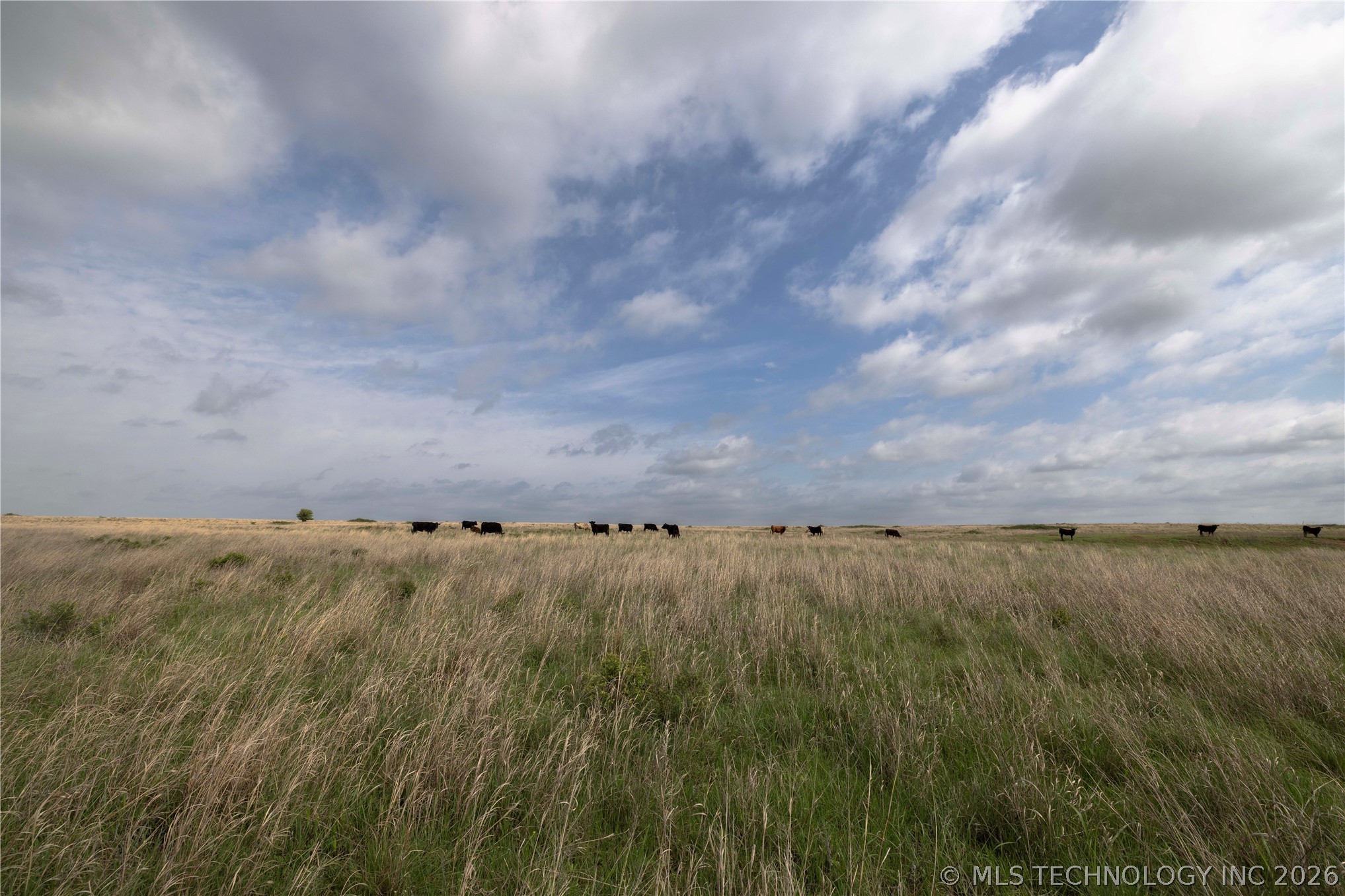 0003 E 4500 Road Pawnee OK 73061