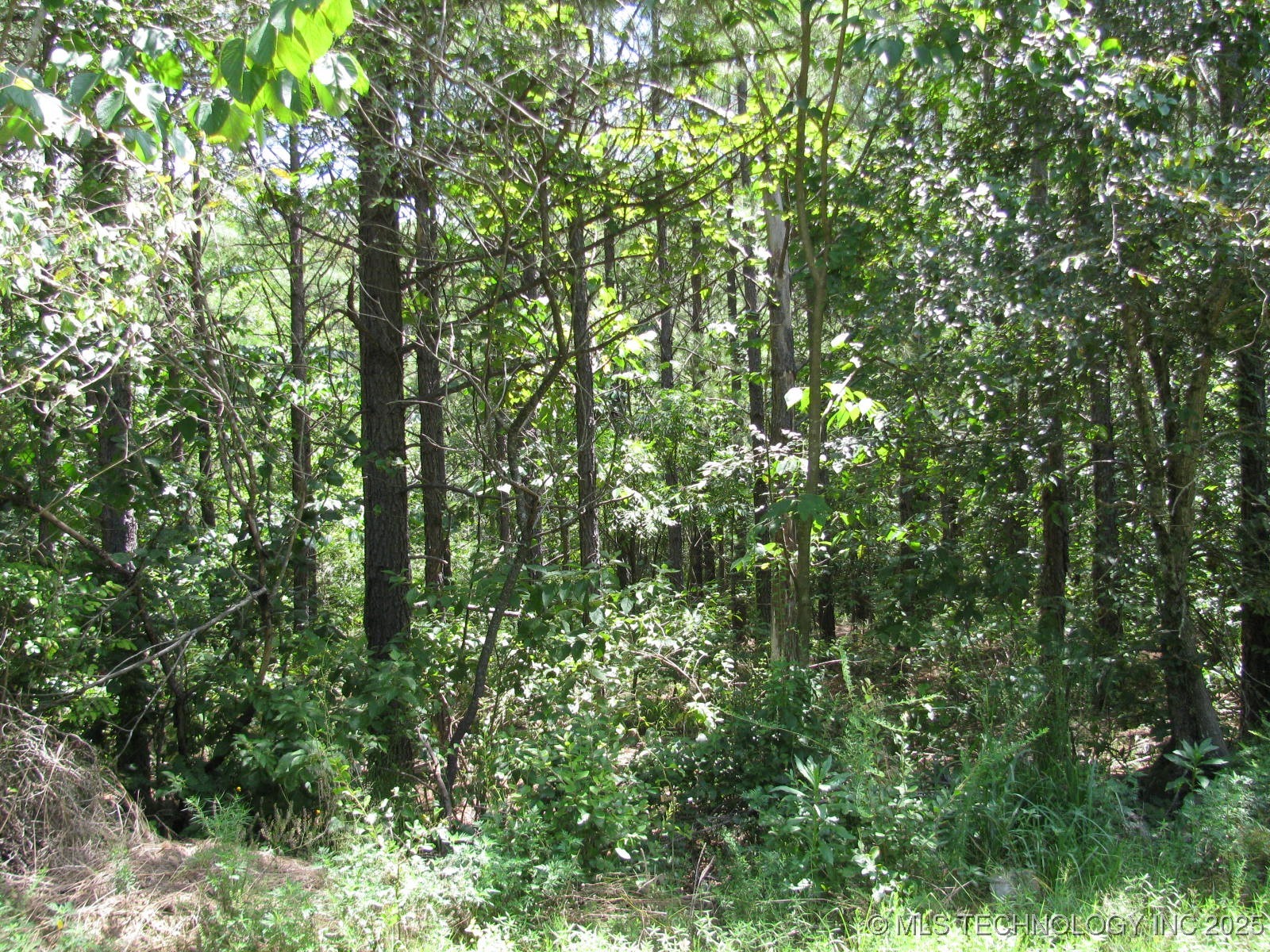 22 Private Road Nashoba OK 74558