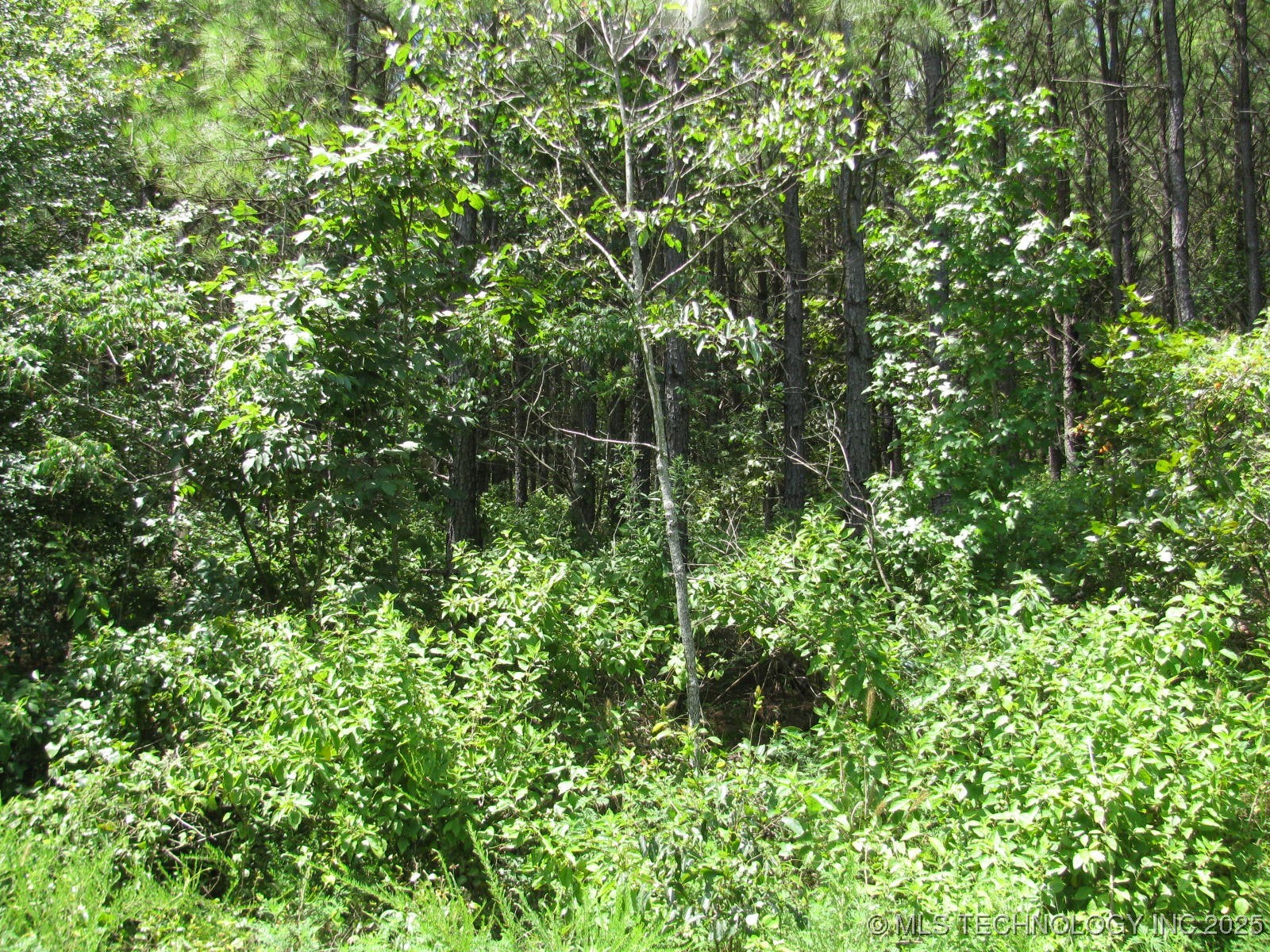 22 Private Road Nashoba OK 74558