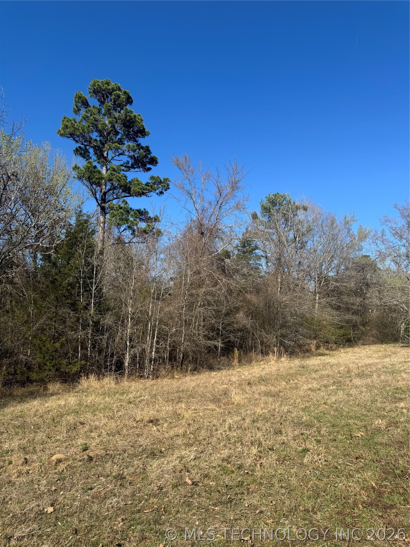 0000 One Creek Valley Road Finley OK 74543