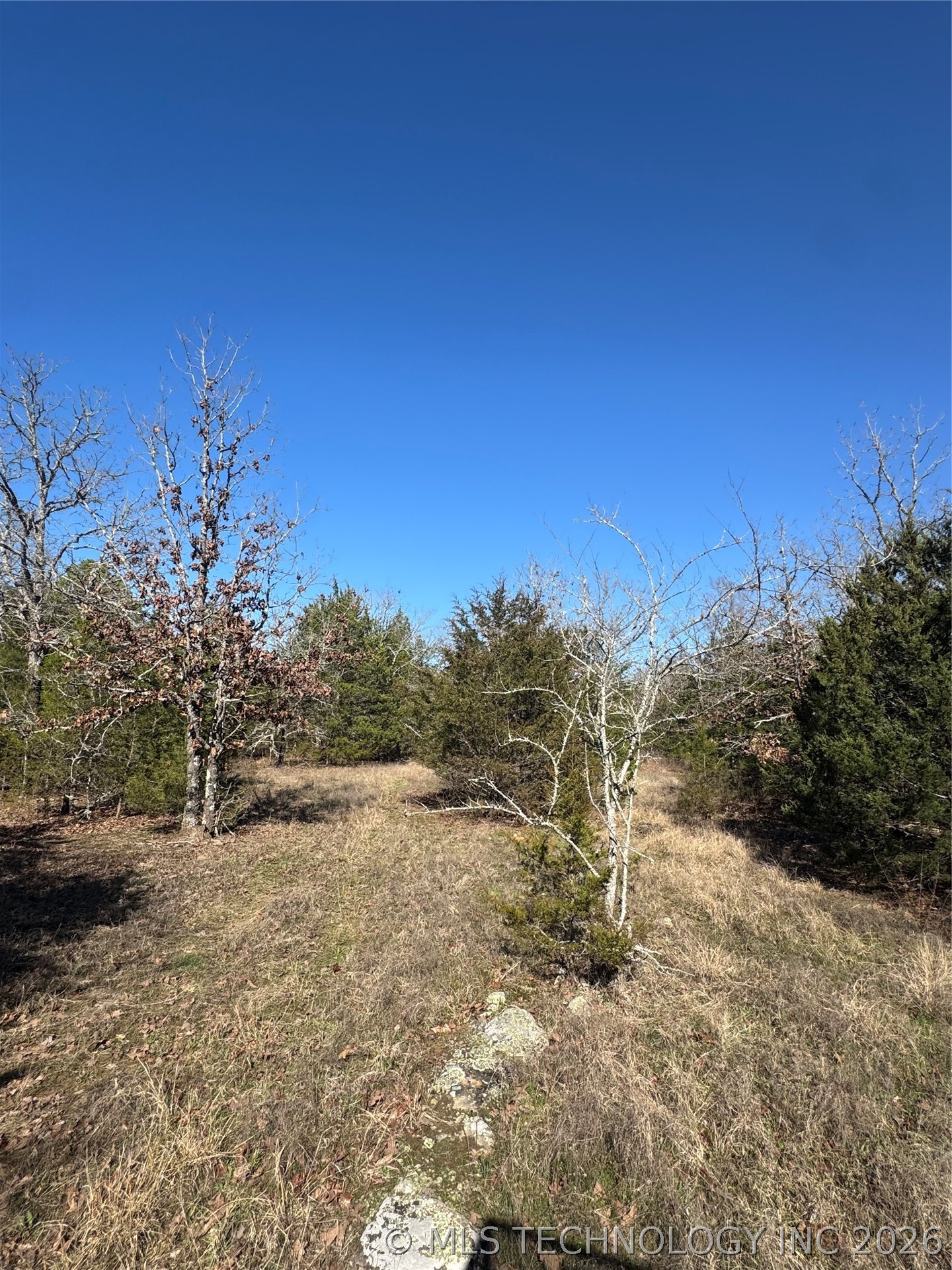 0000 One Creek Valley Road Finley OK 74543