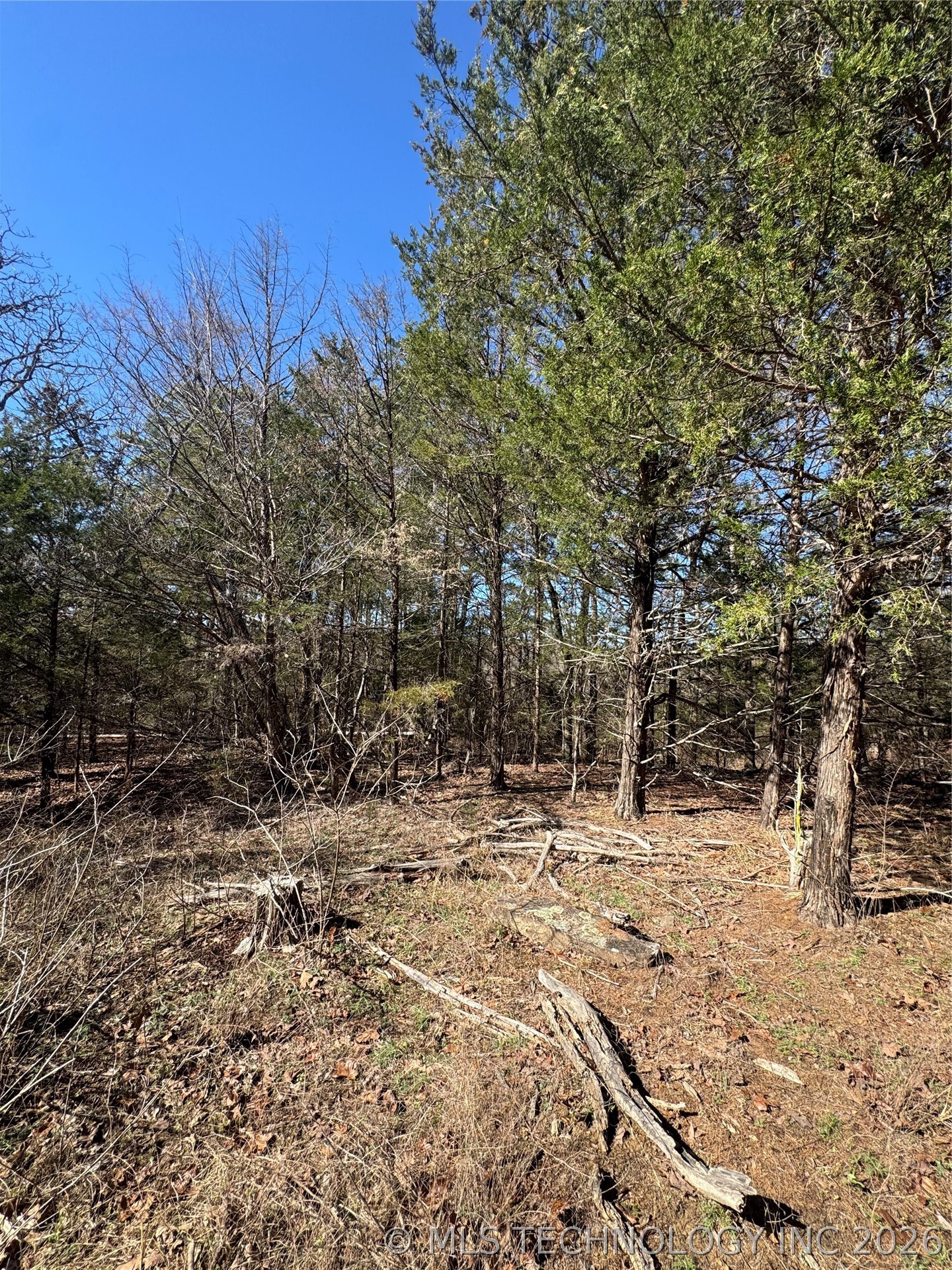 0000 One Creek Valley Road Finley OK 74543