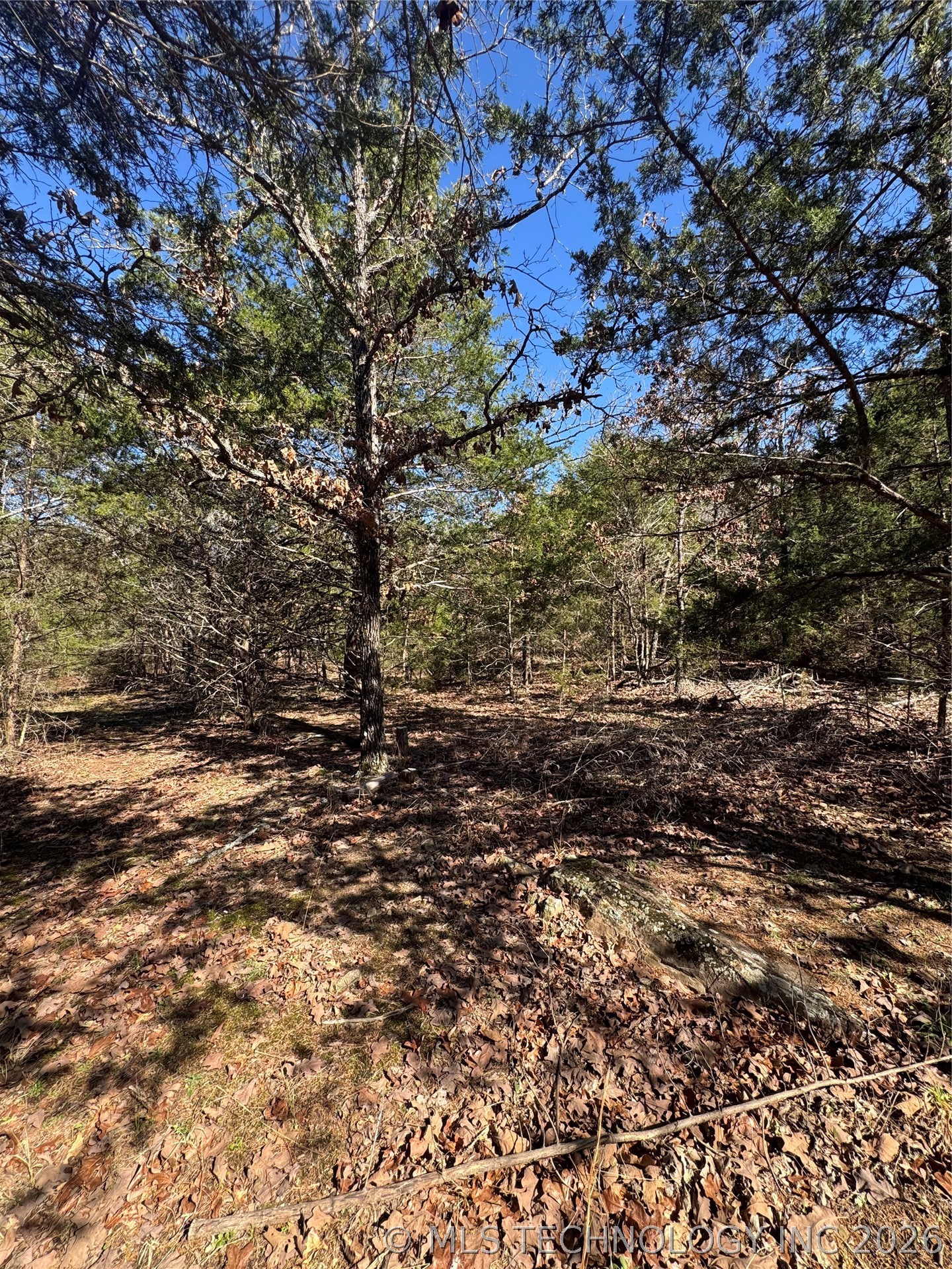 0000 One Creek Valley Road Finley OK 74543