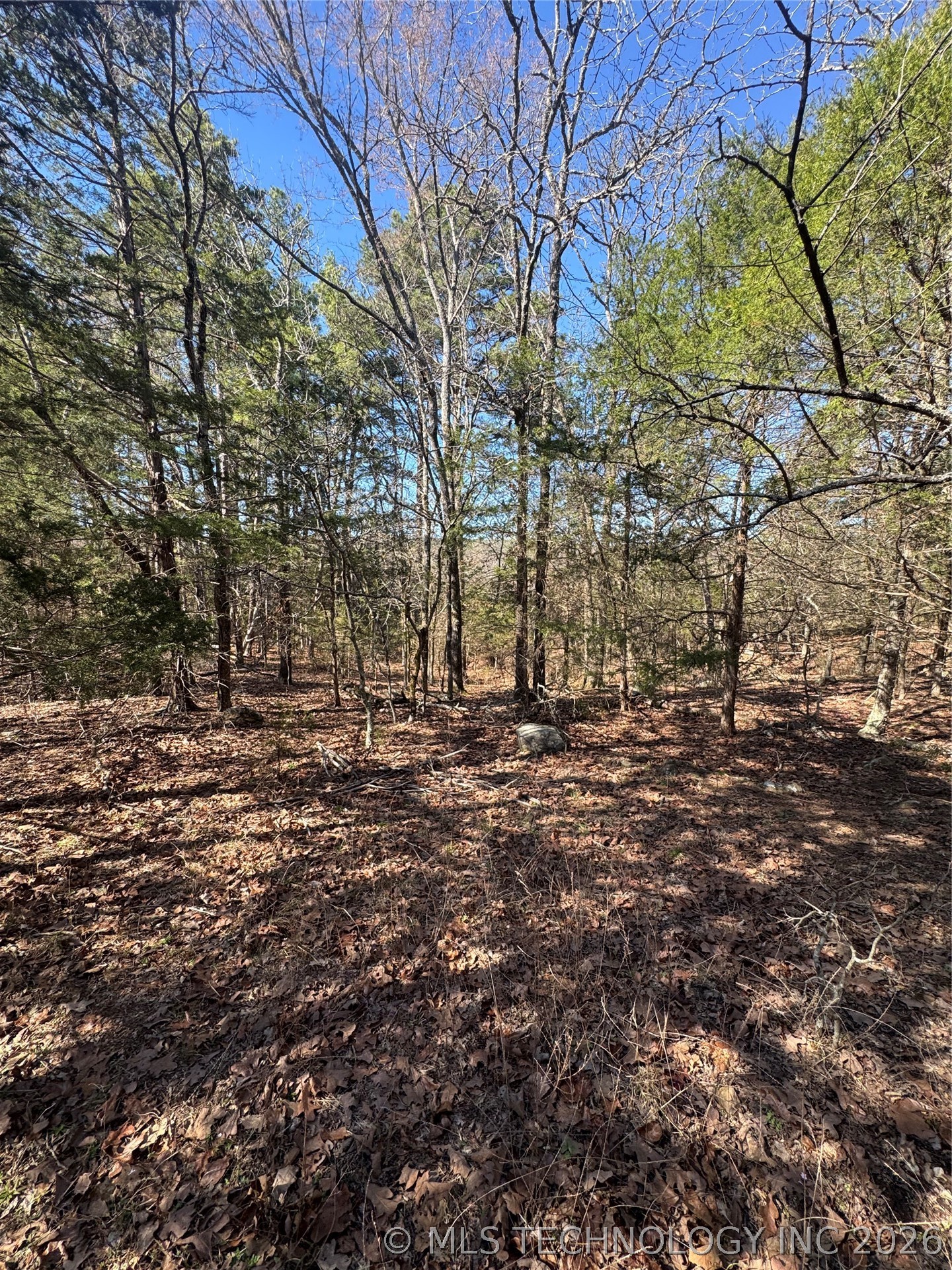 0000 One Creek Valley Road Finley OK 74543